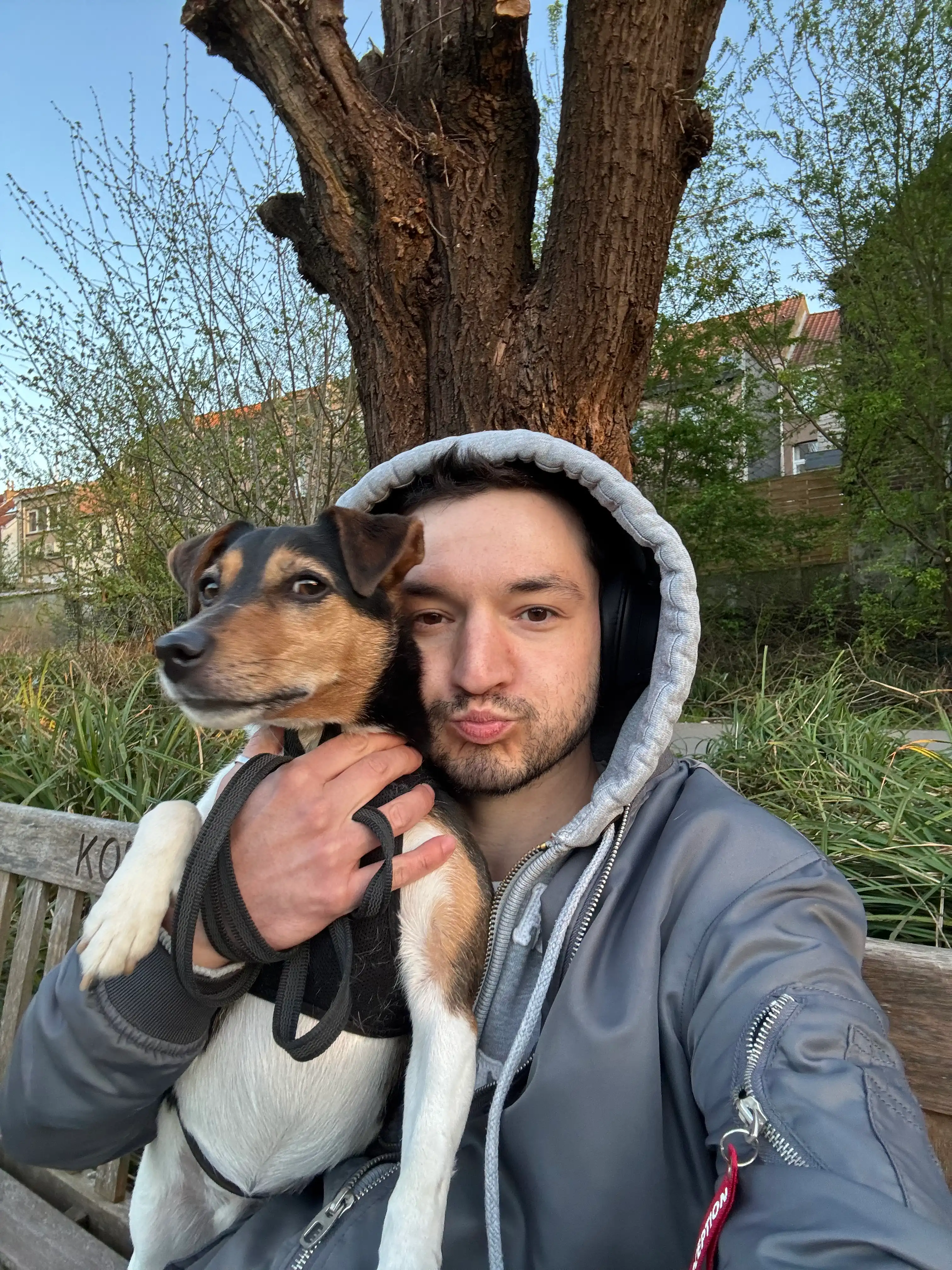 image-6
