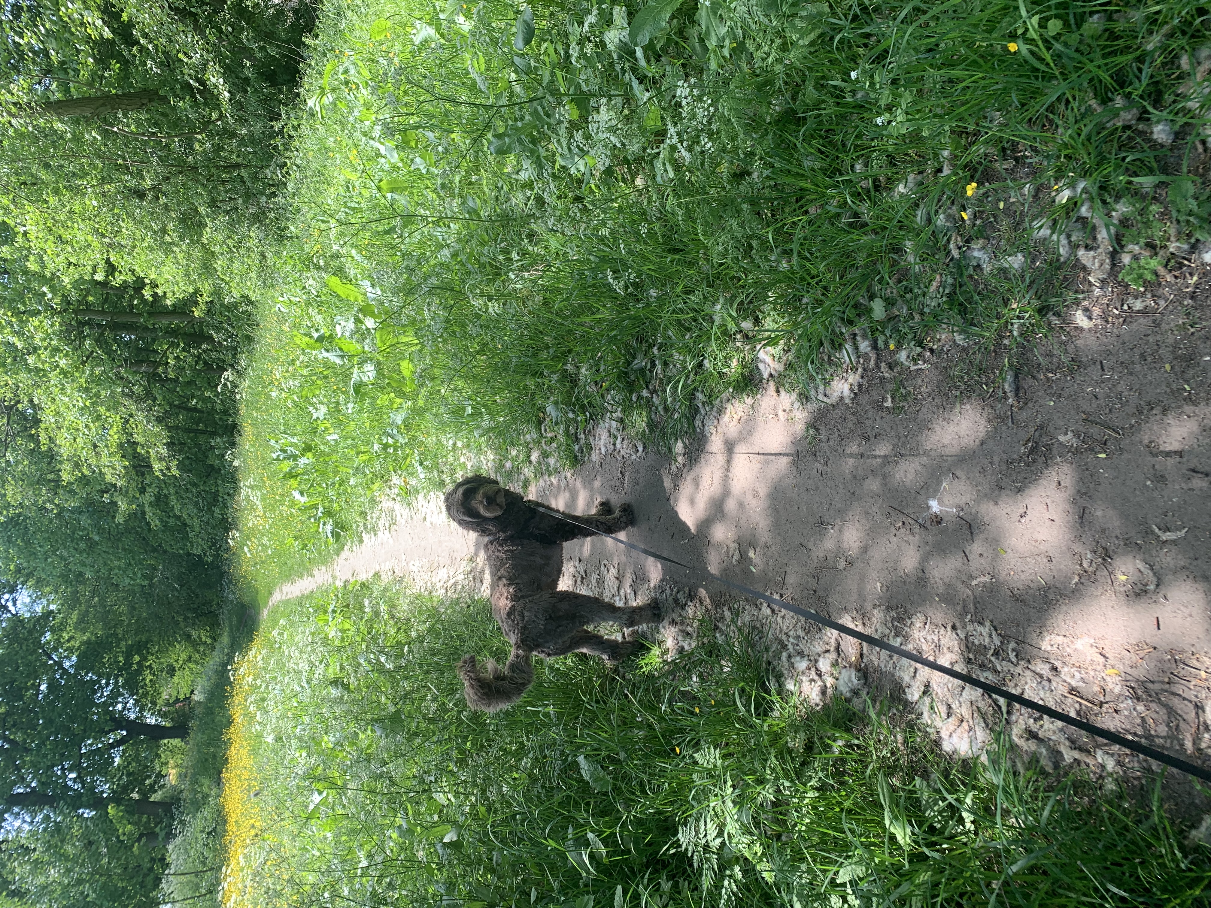 image-6