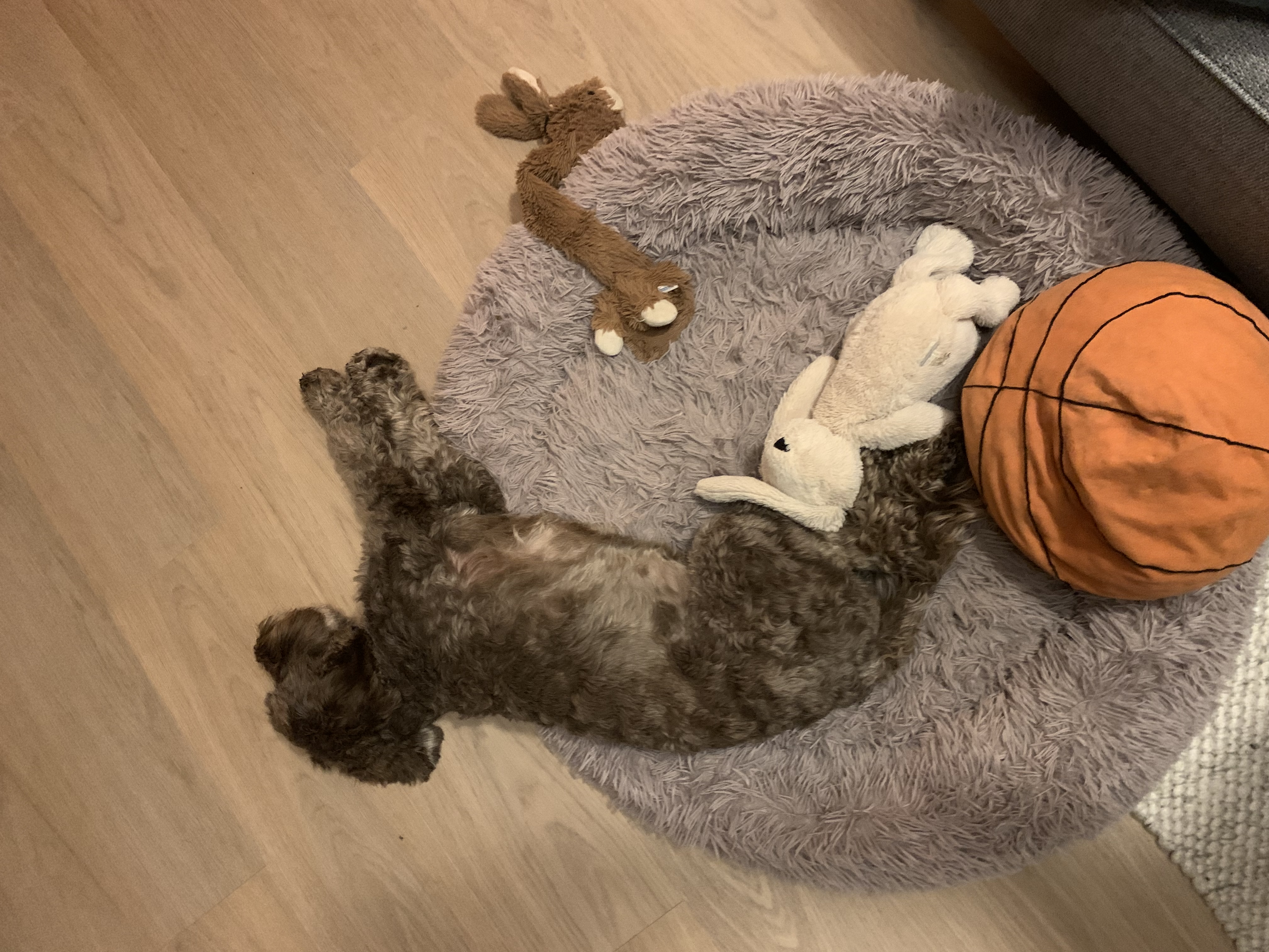 image-8