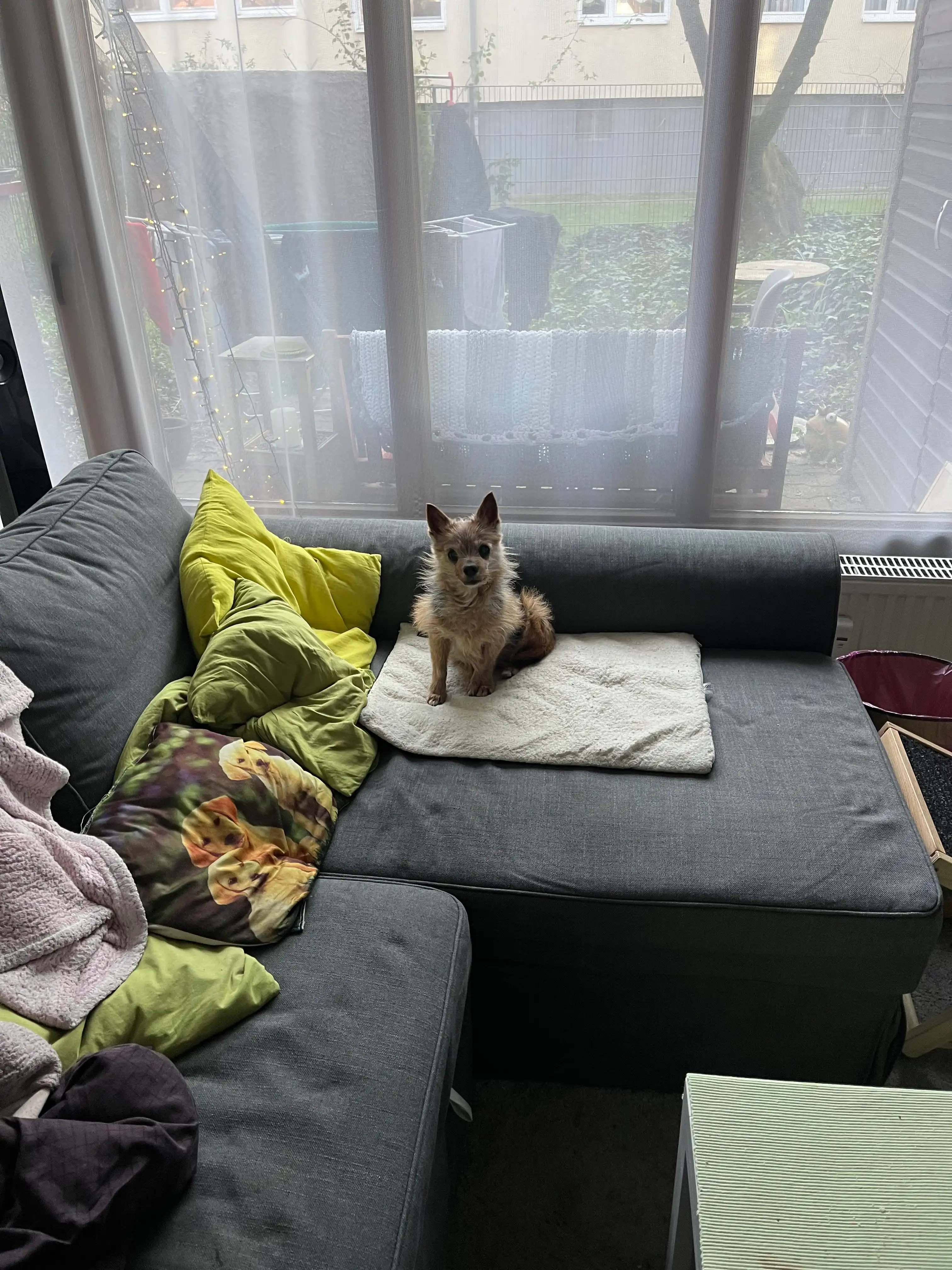 image-36