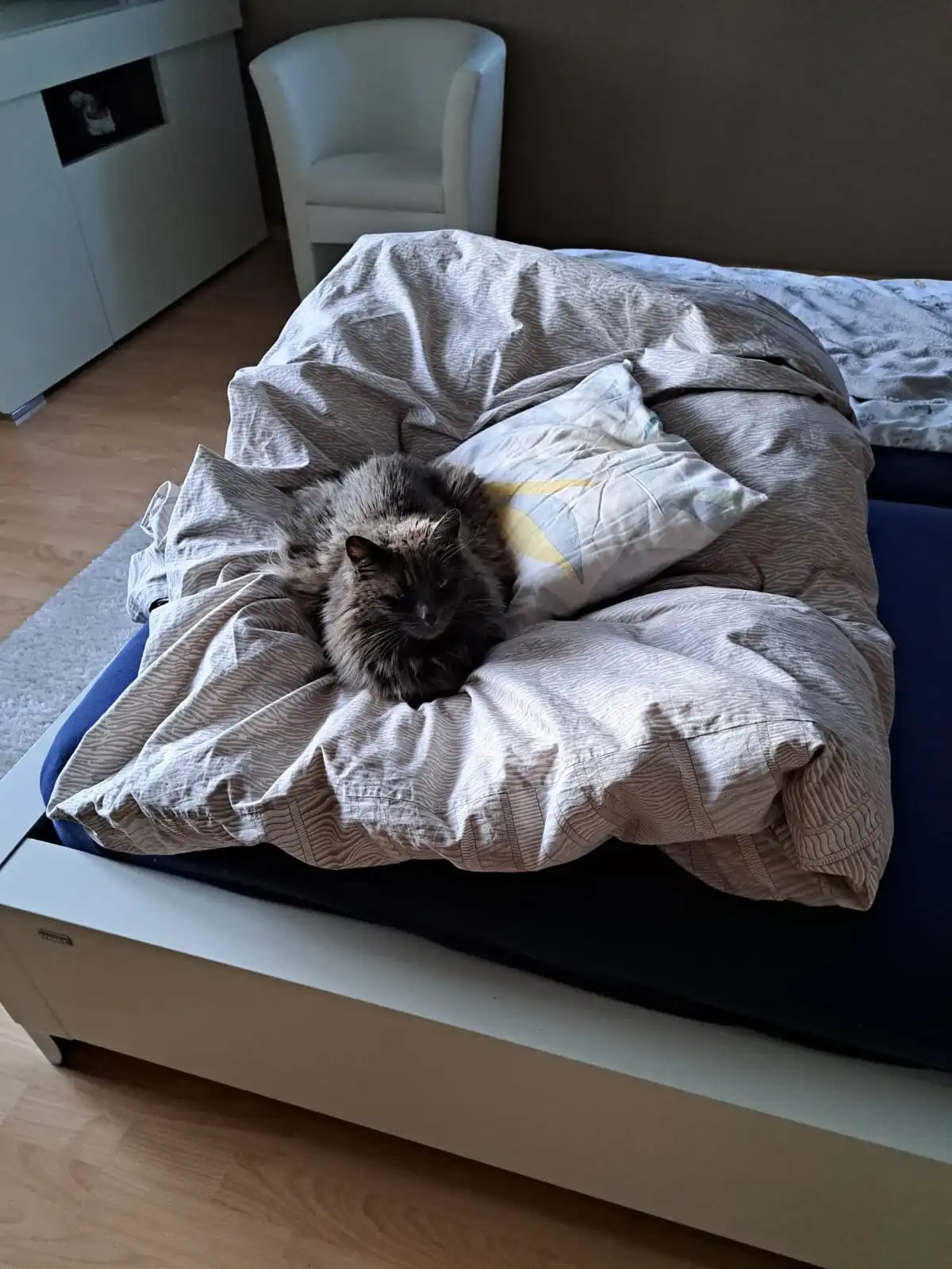 image-5