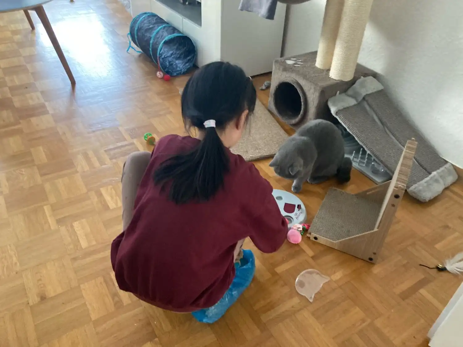 image-8