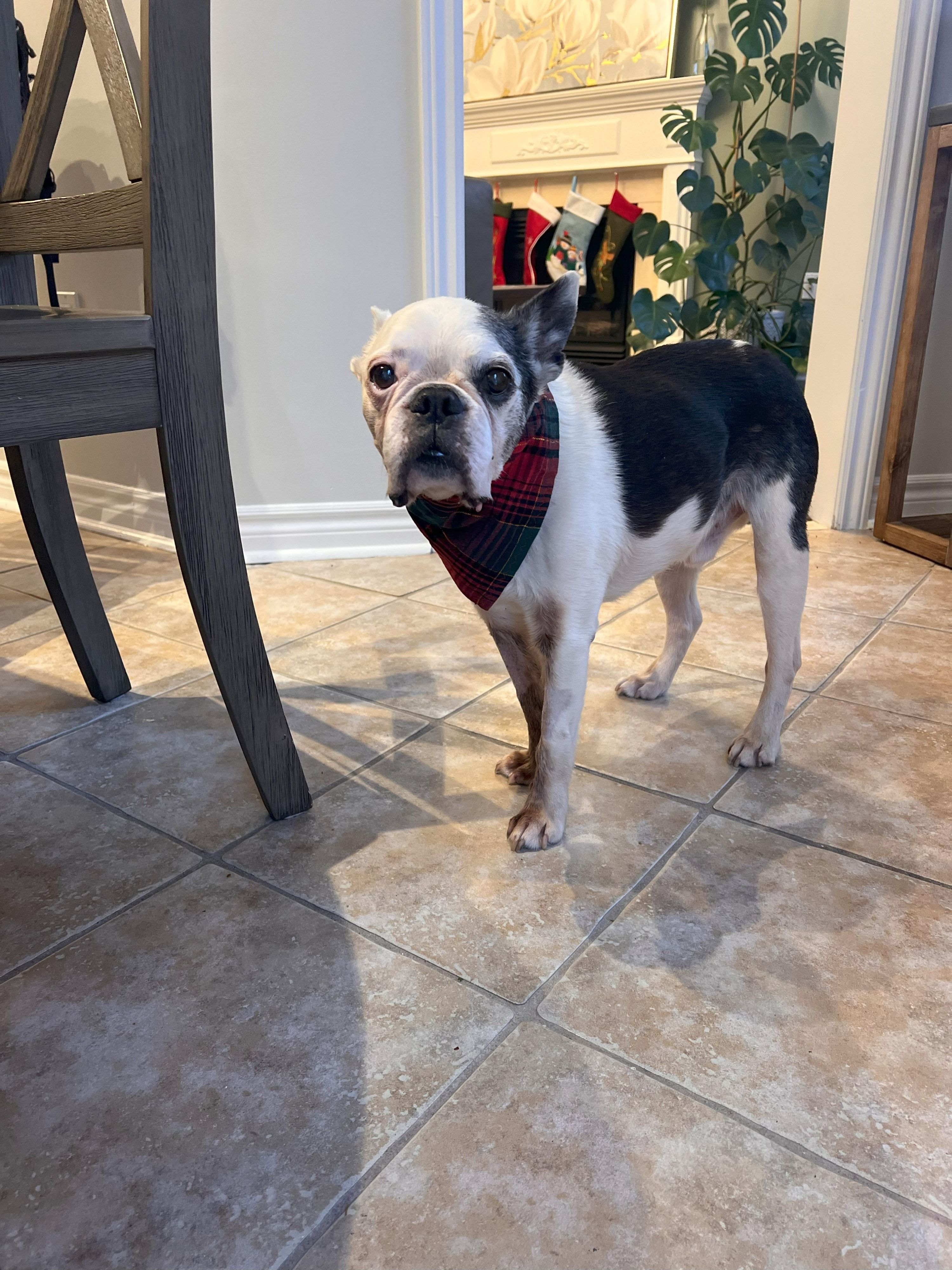 image-11