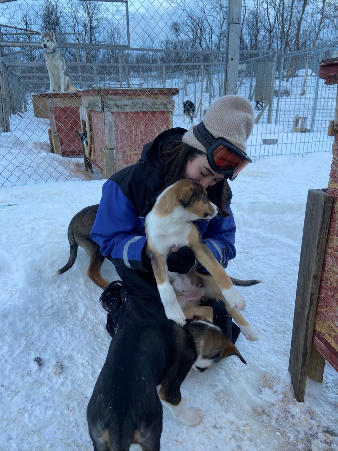 image-7