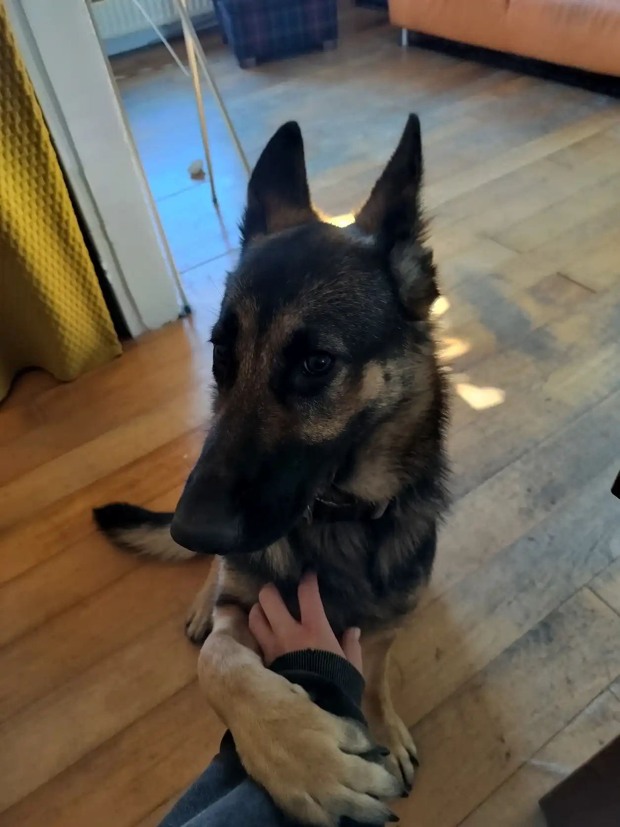 image-10