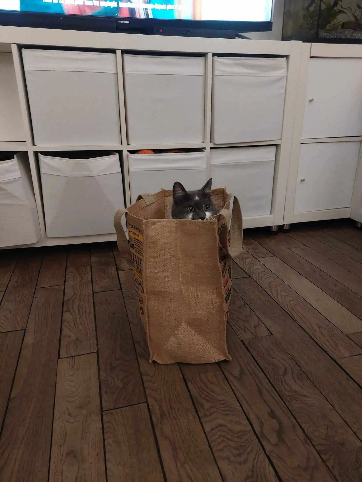 image-7
