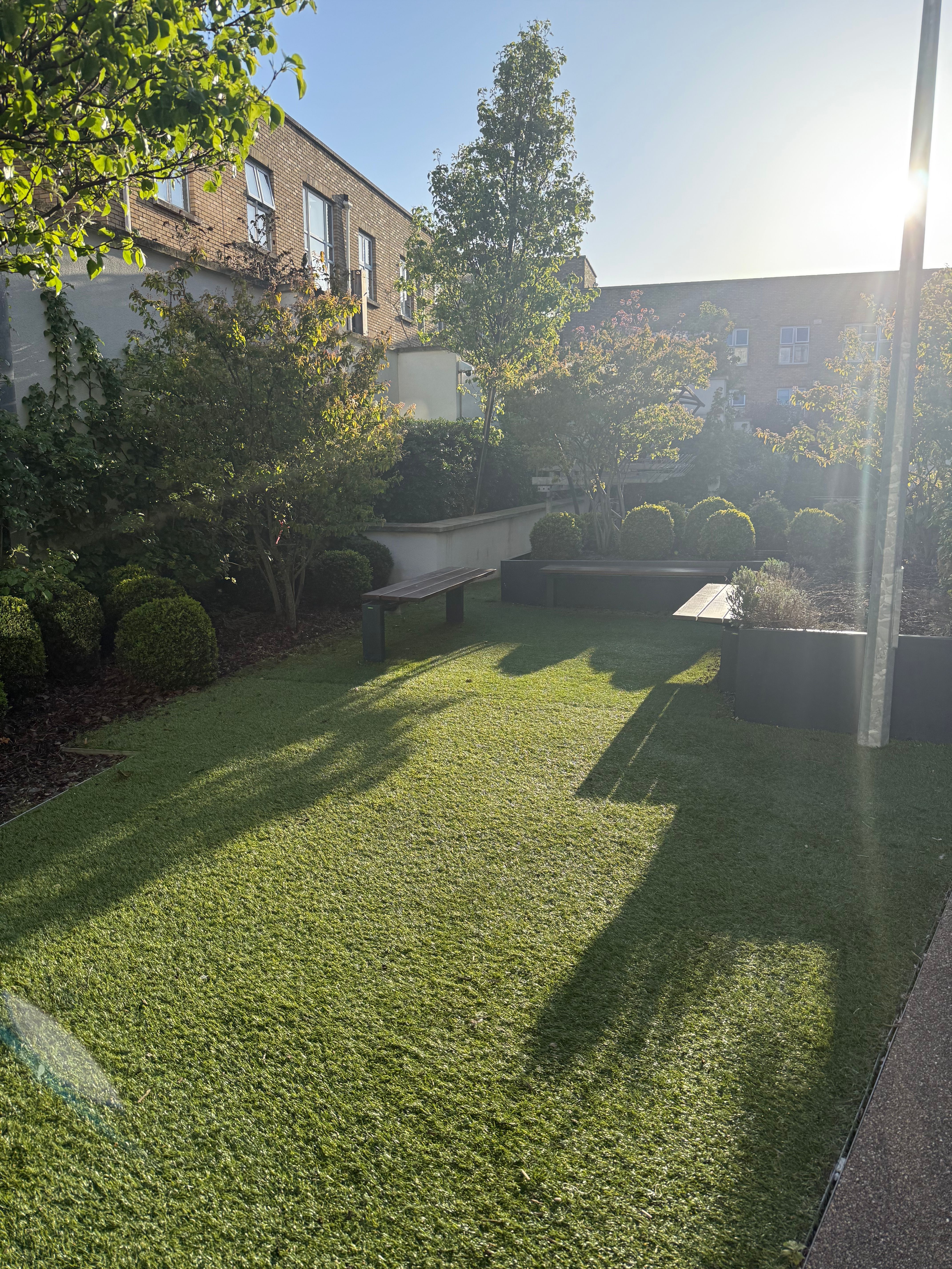 image-8