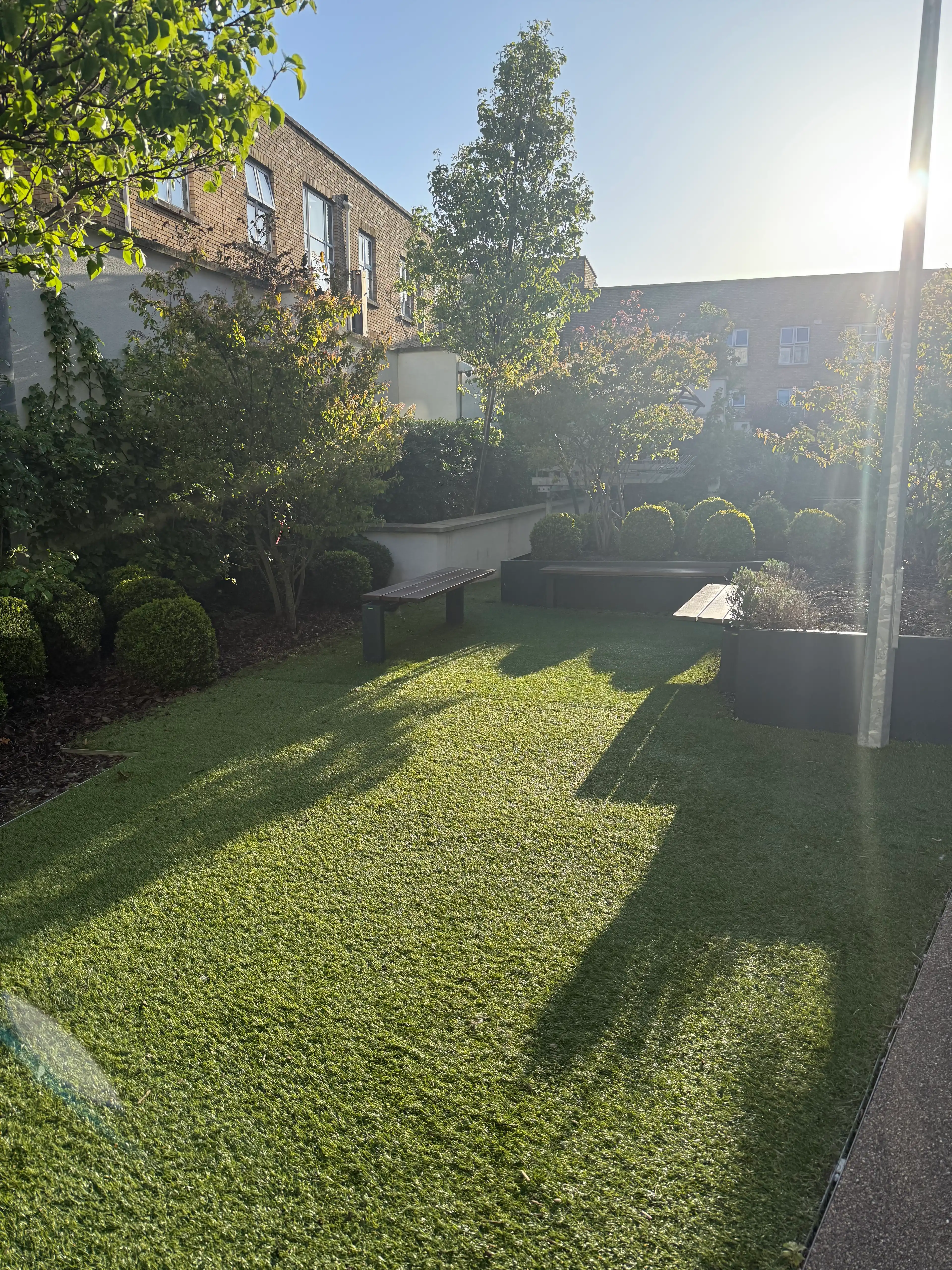 image-8