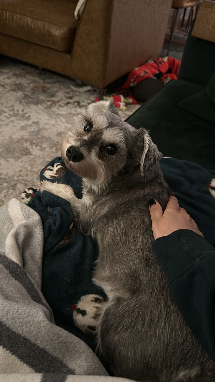 image-6