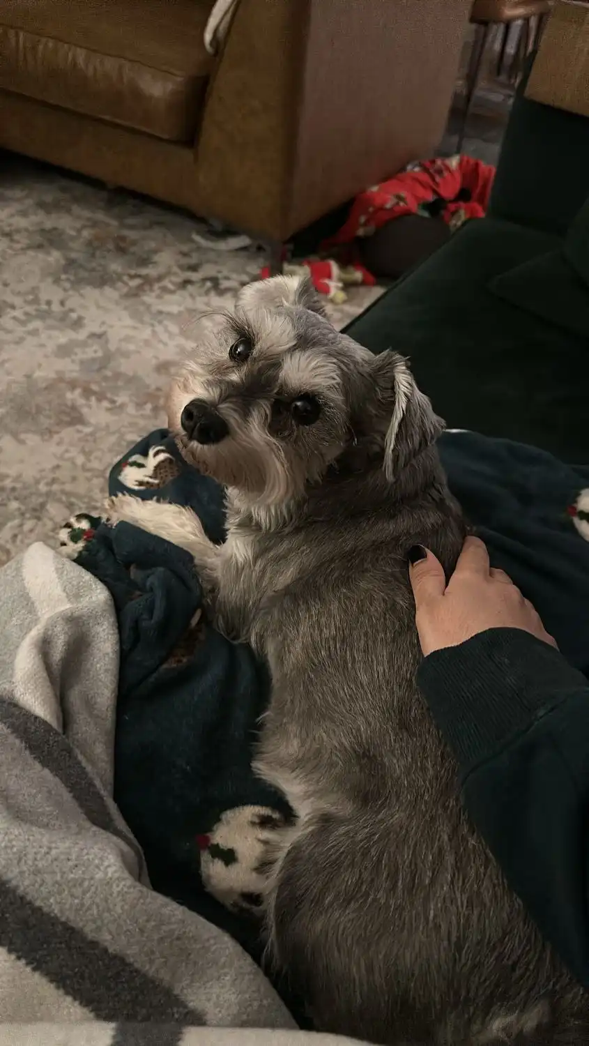 image-6