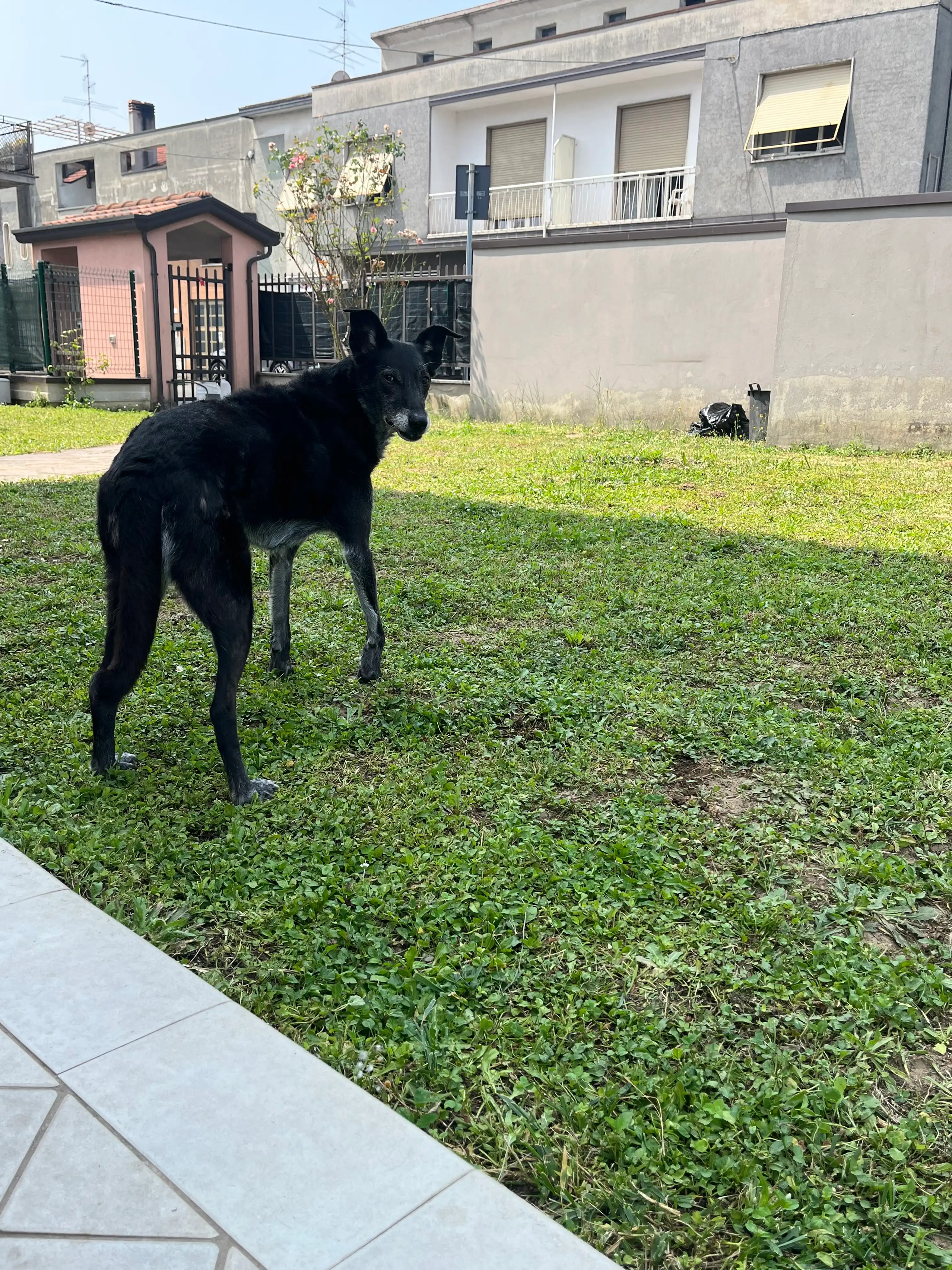 image-14