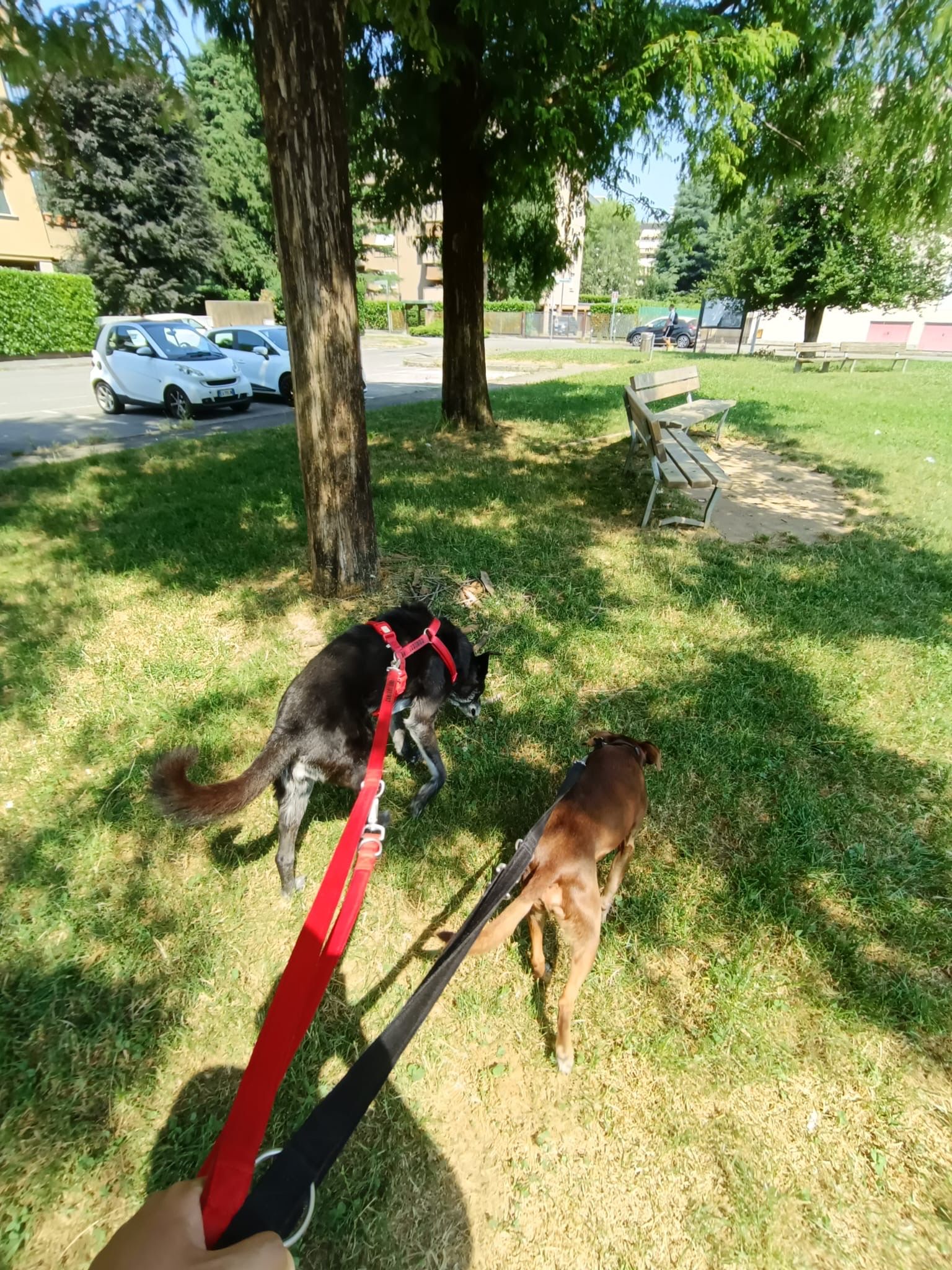 image-15