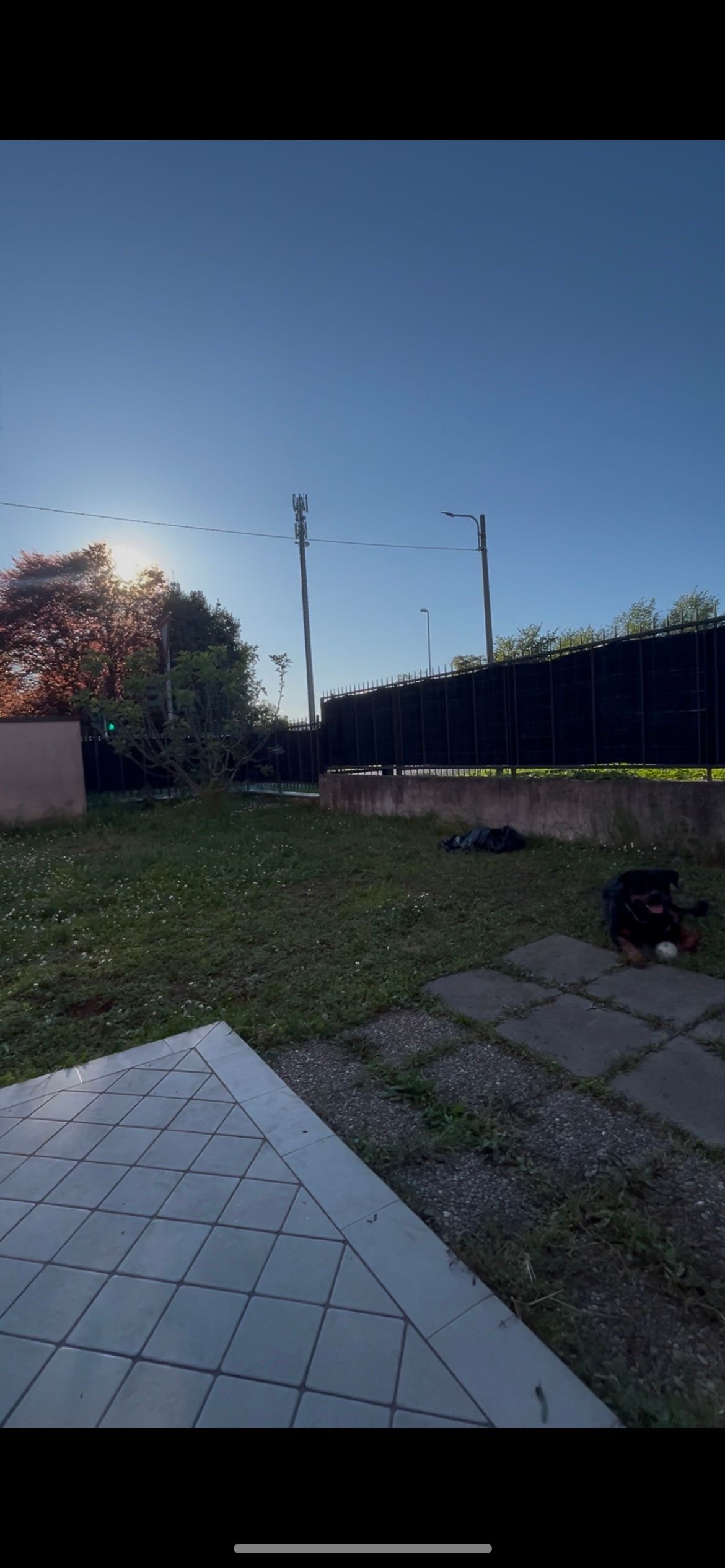 image-13