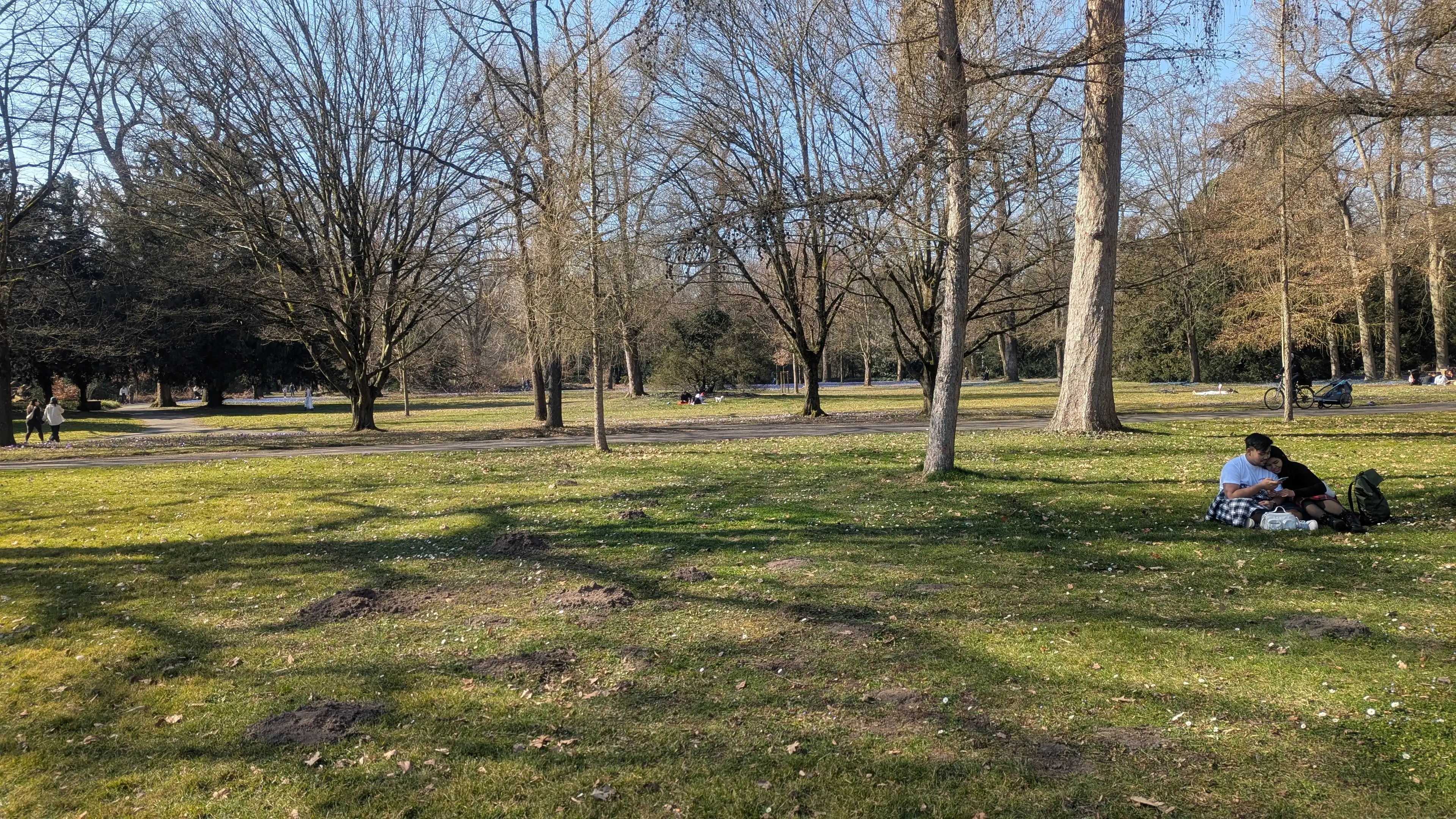 image-13