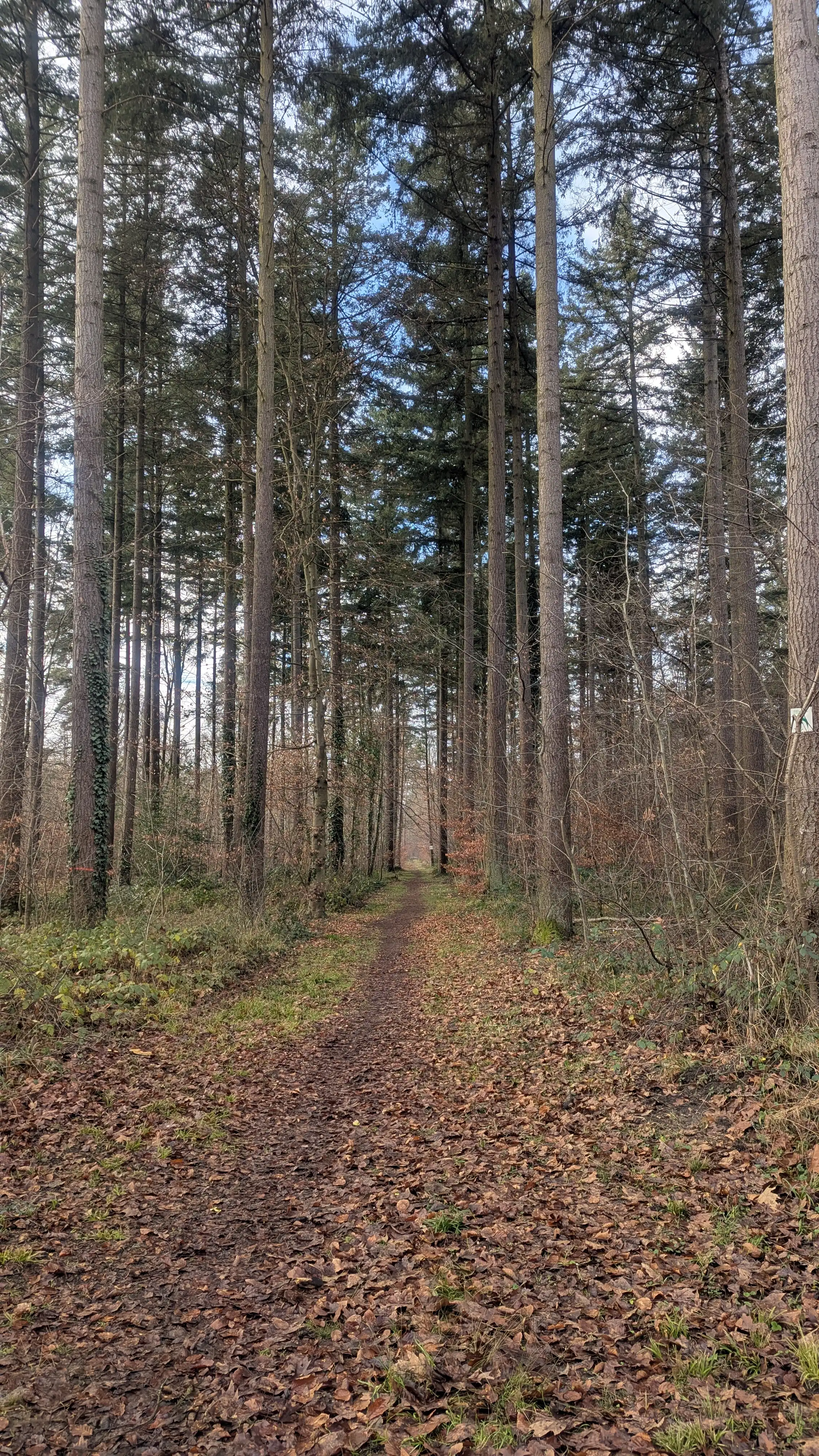 image-11