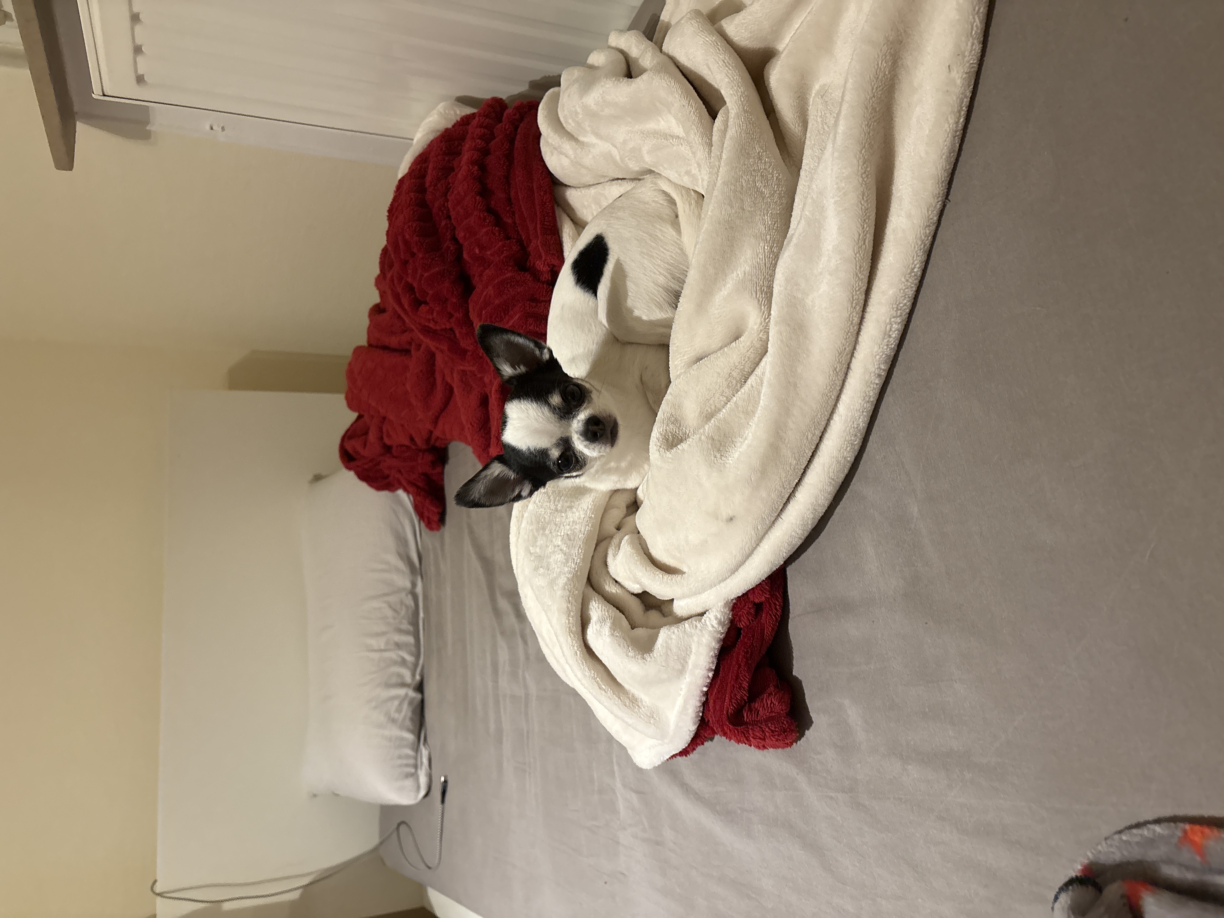image-13