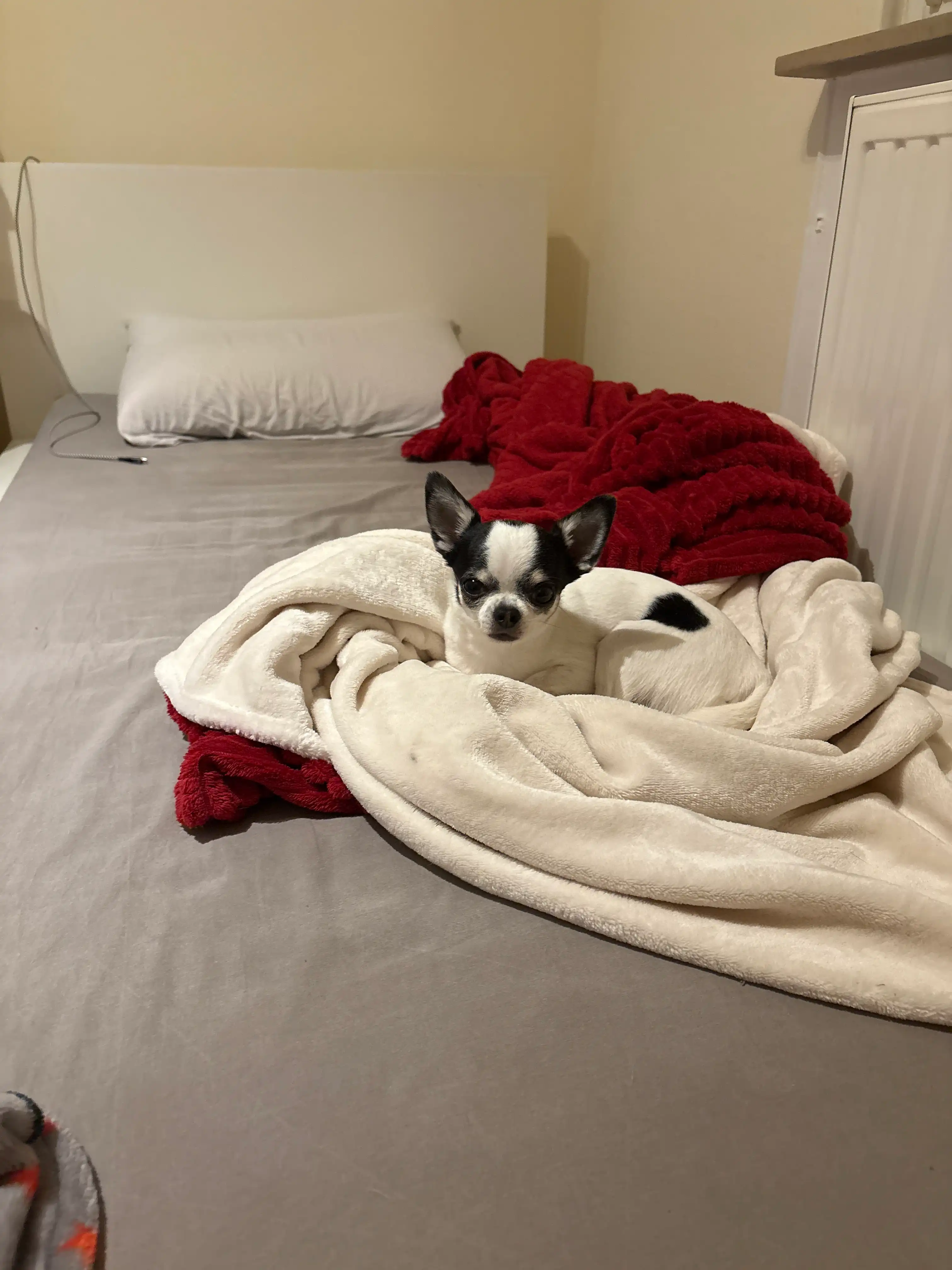 image-13