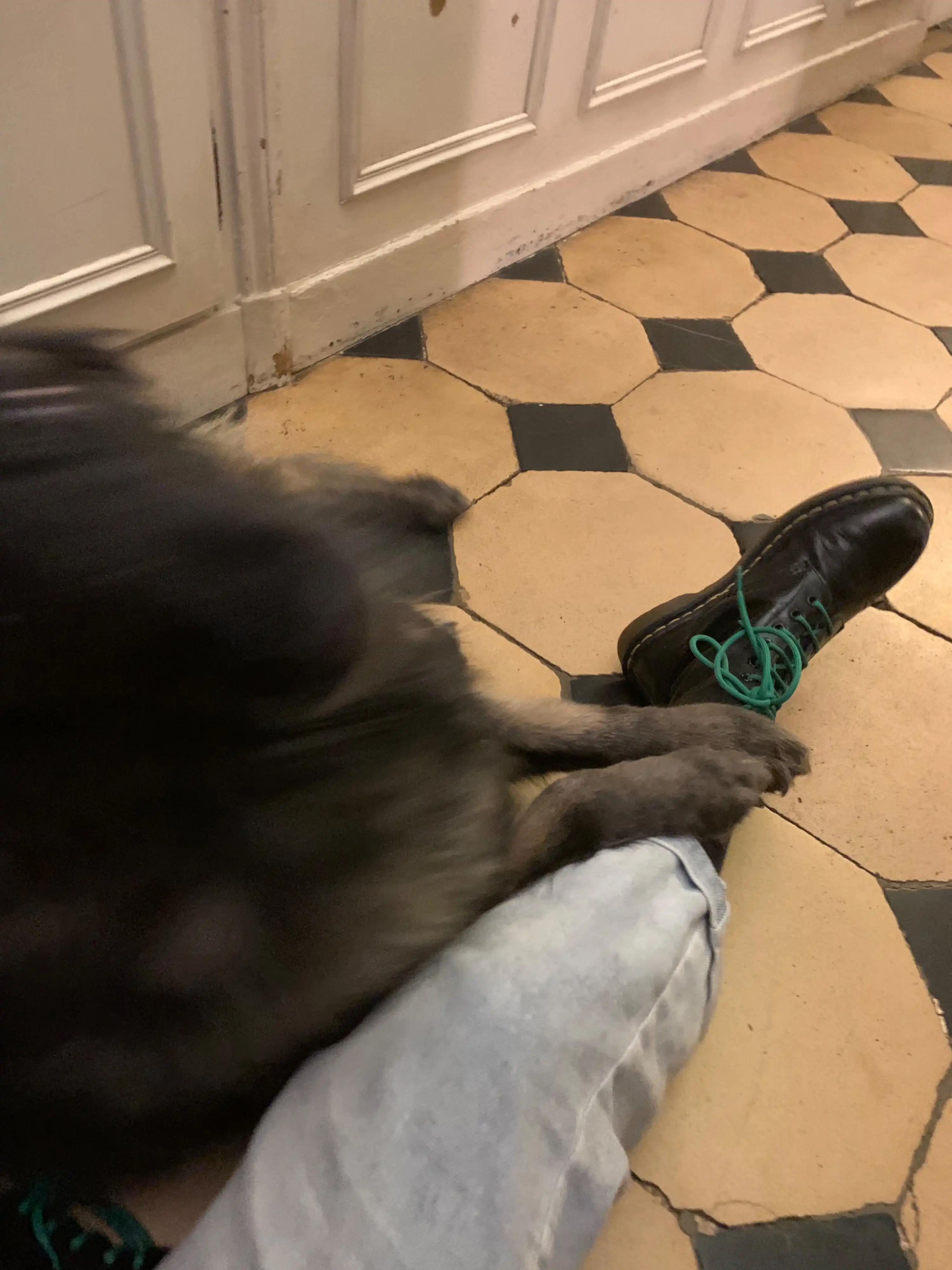 image-14