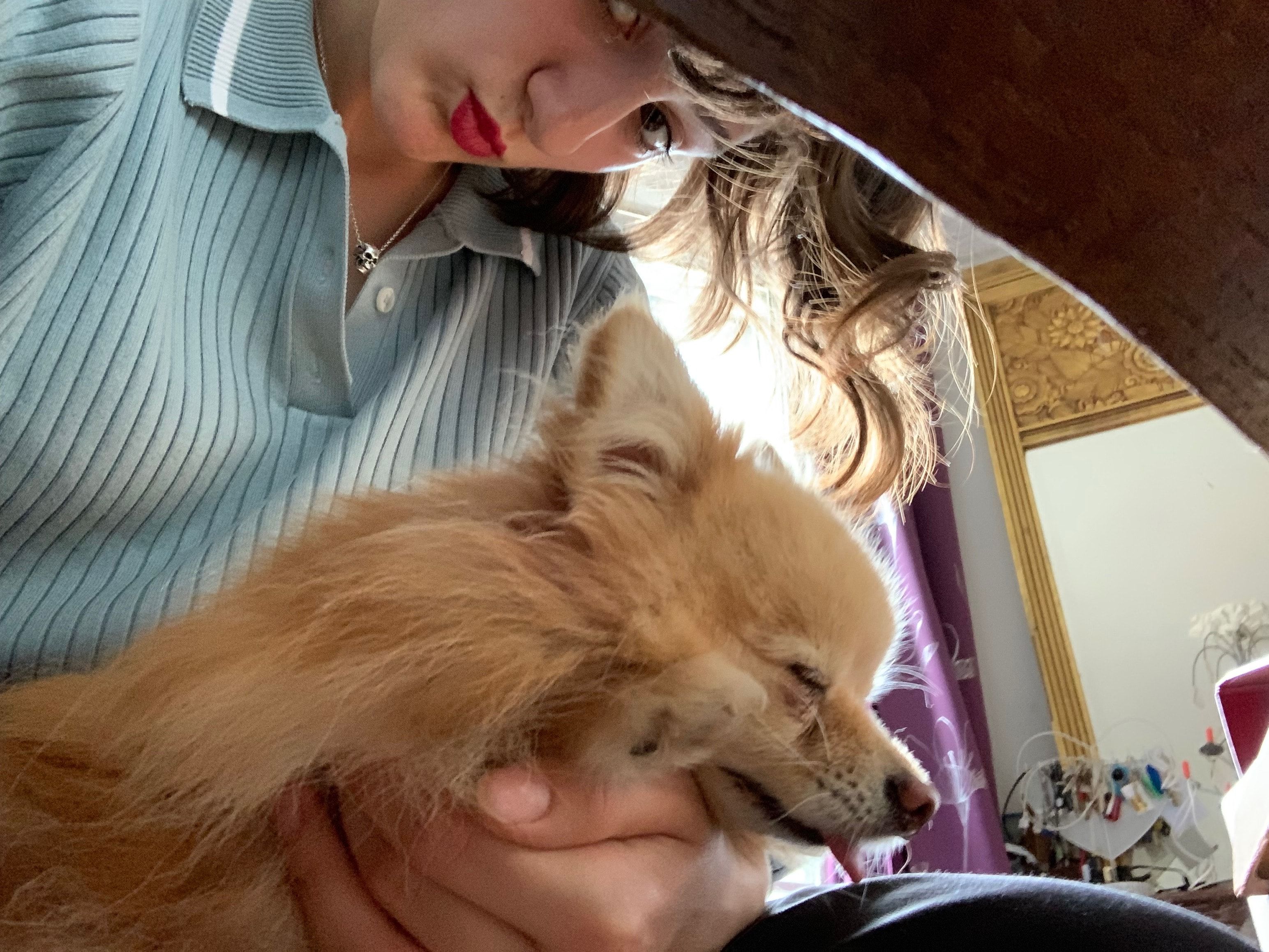 image-7