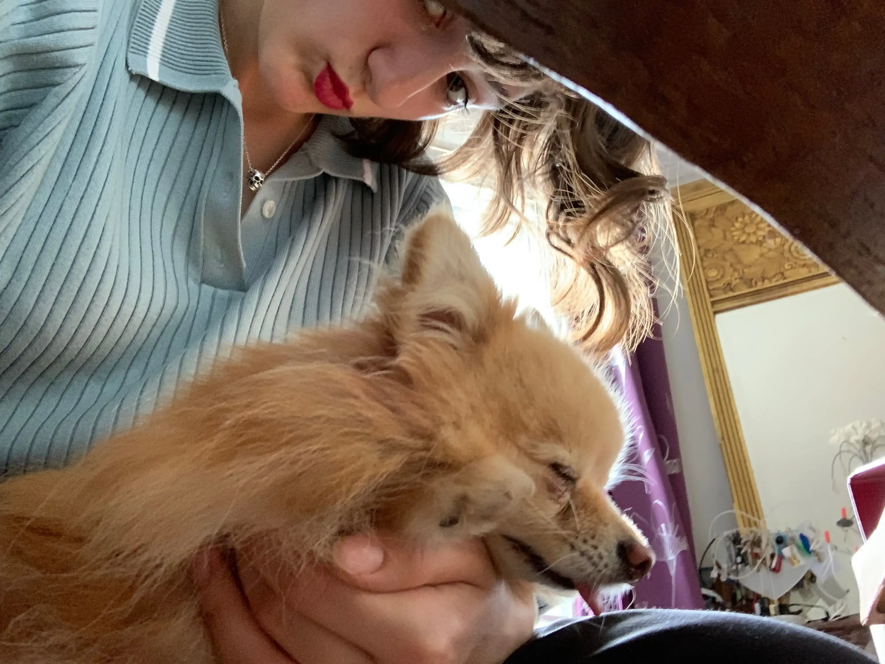 image-7