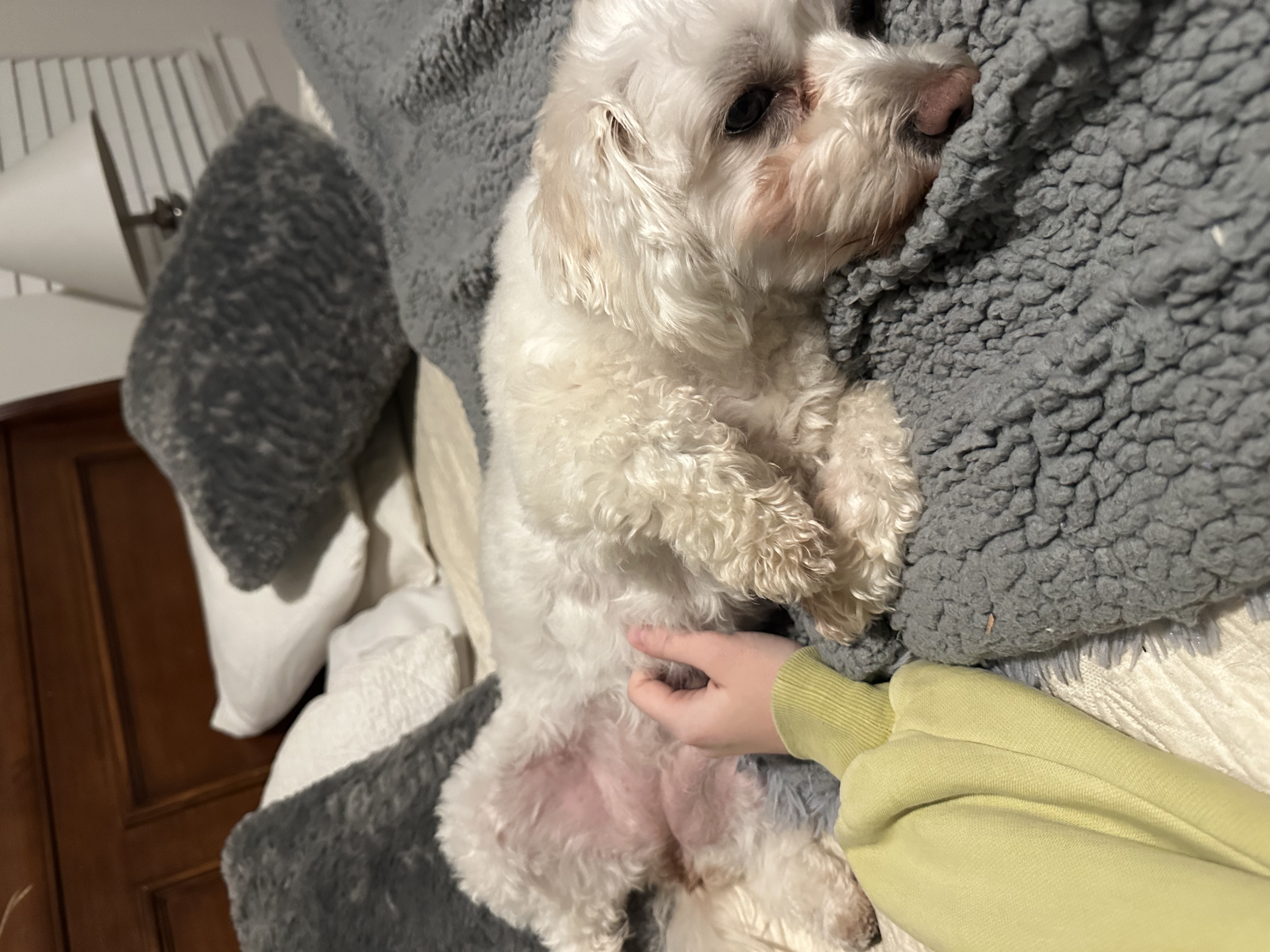 image-6