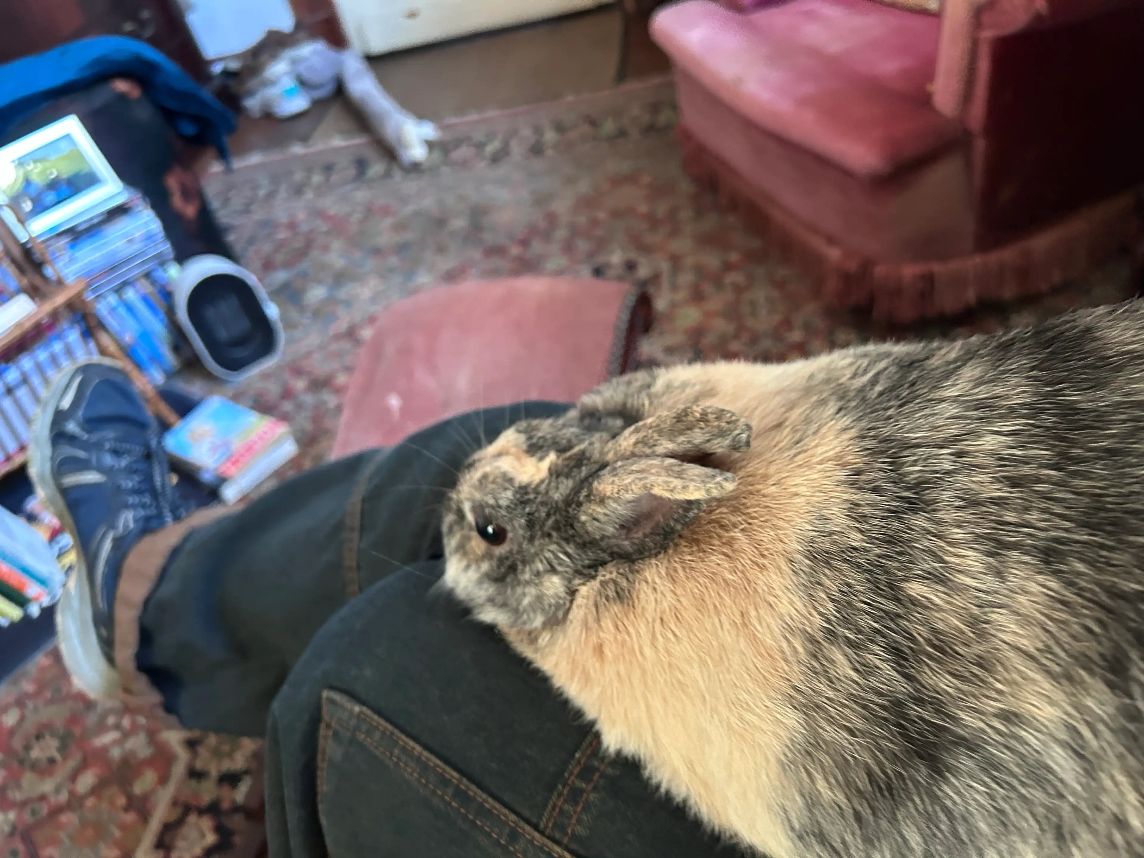 image-8