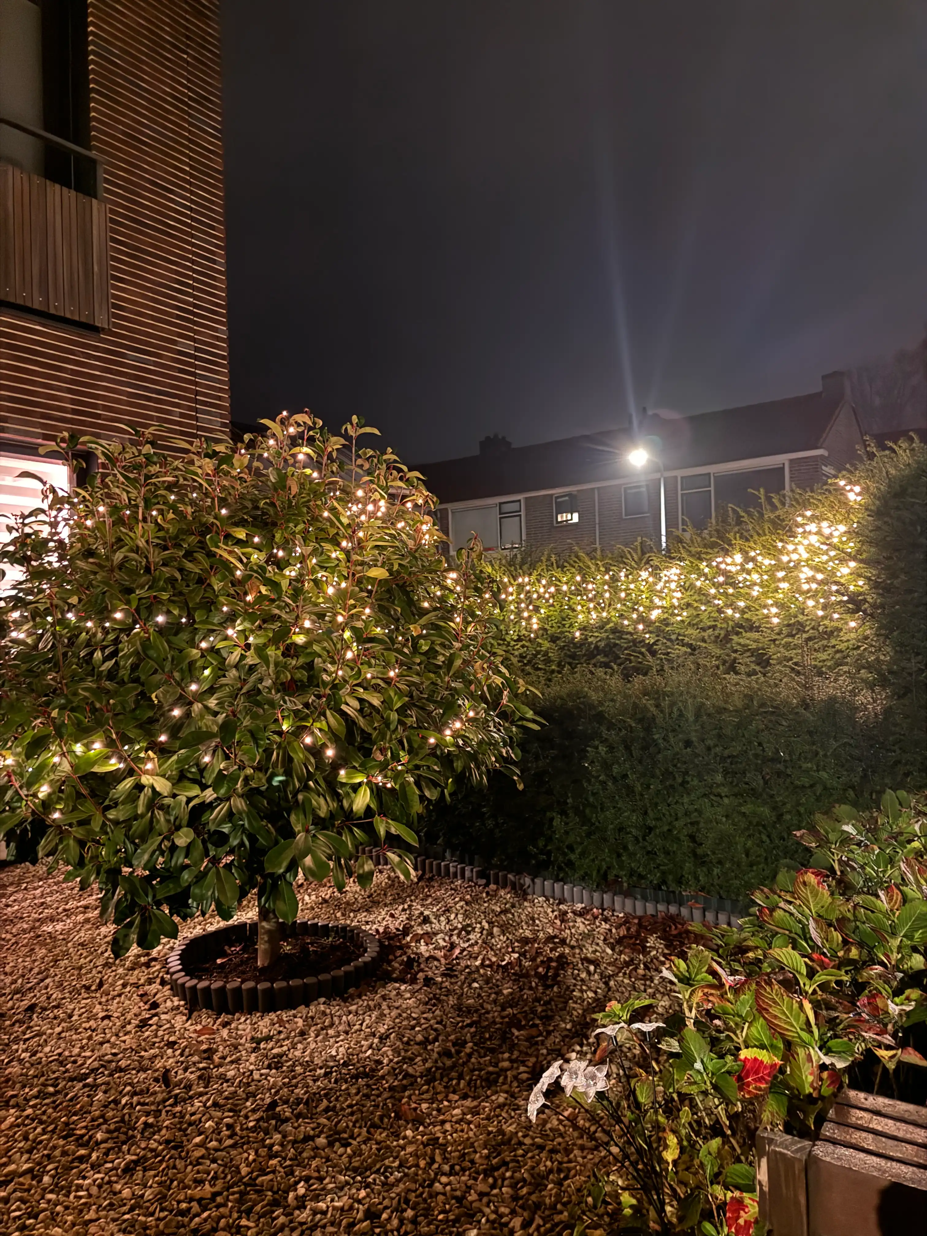 image-19