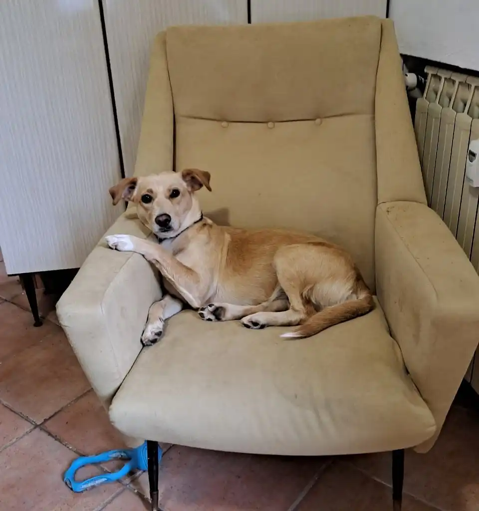 image-7