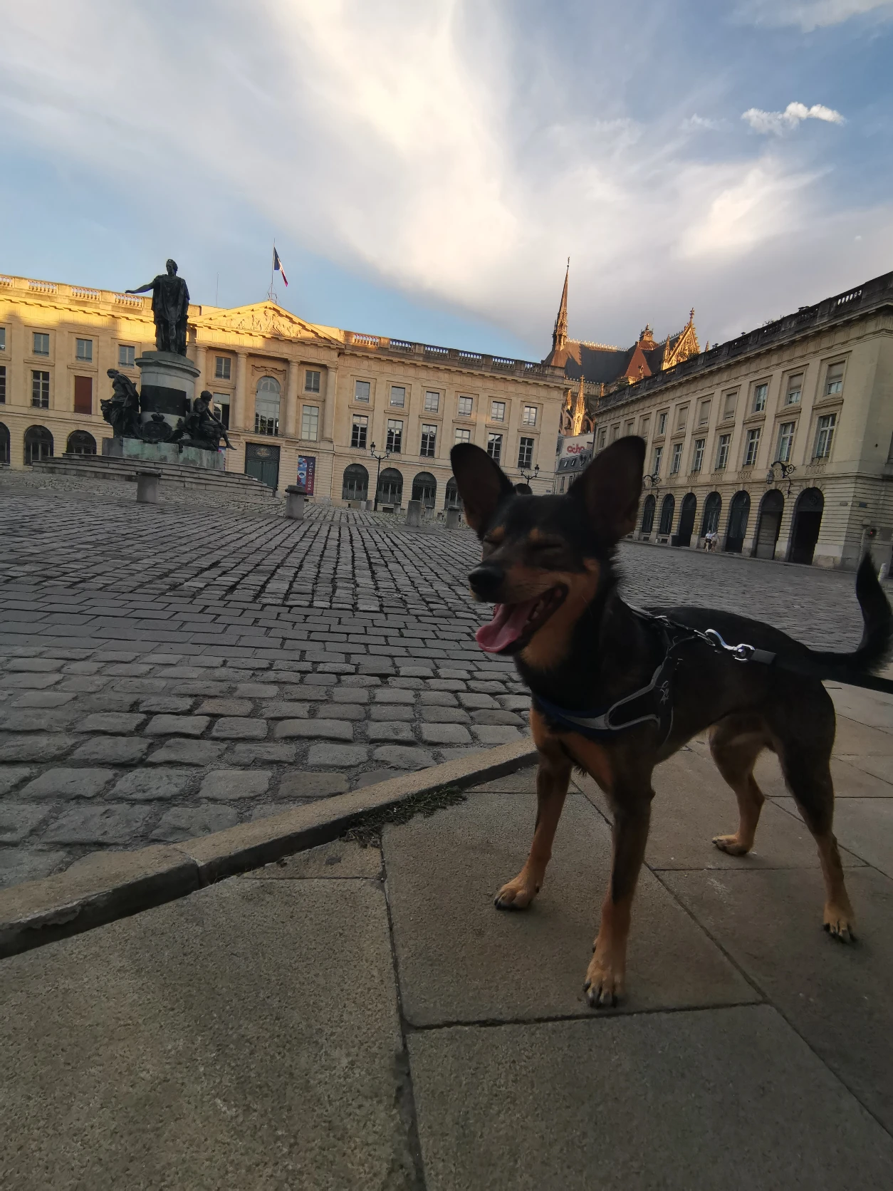 image-16