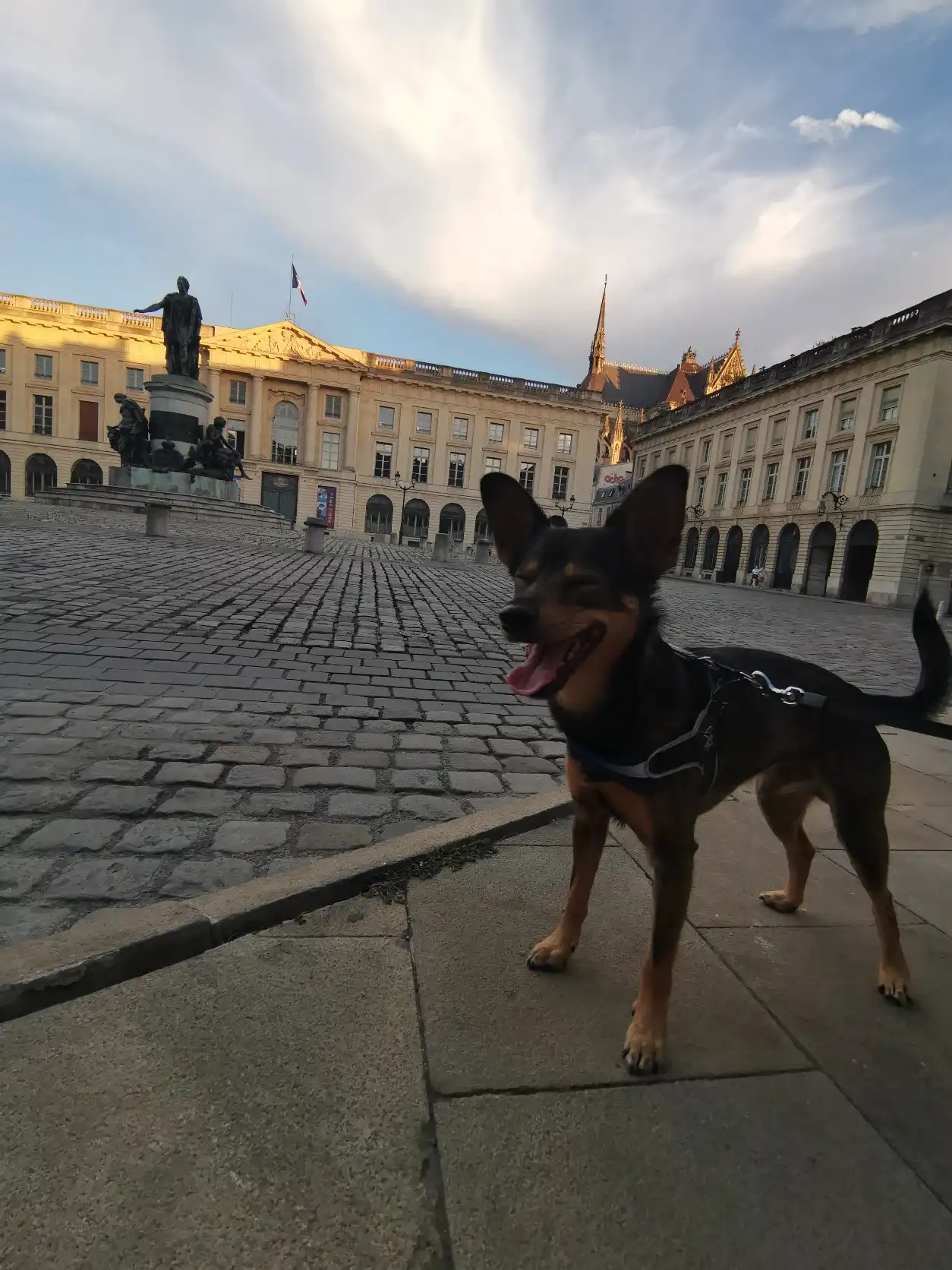 image-16