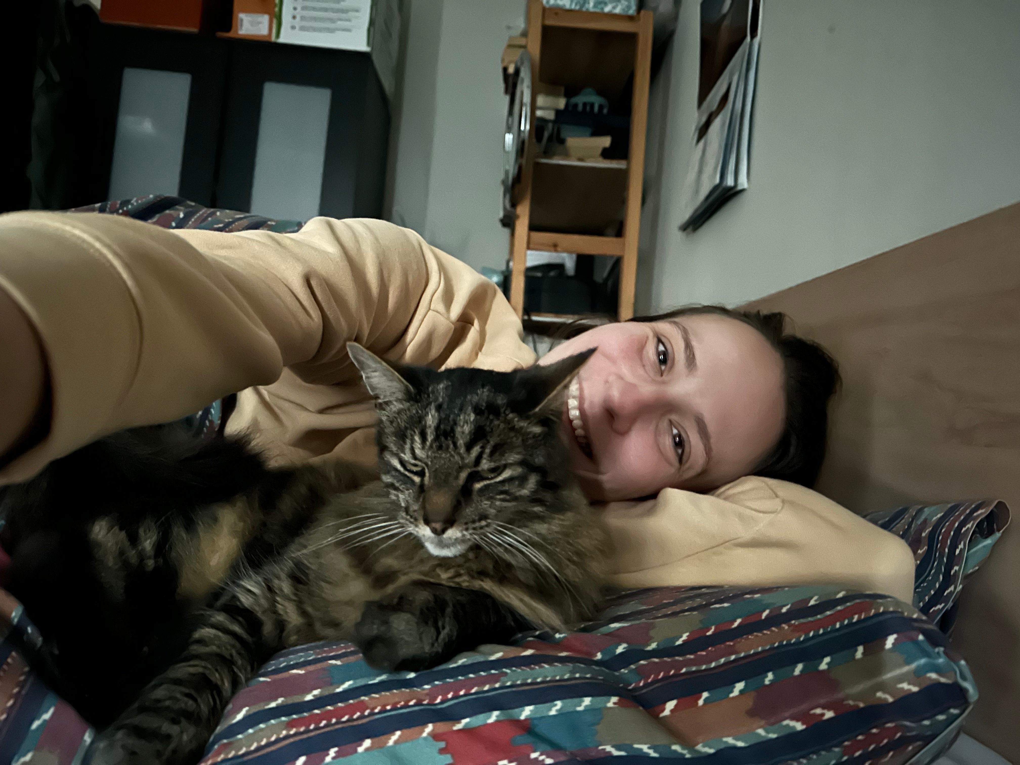 image-6