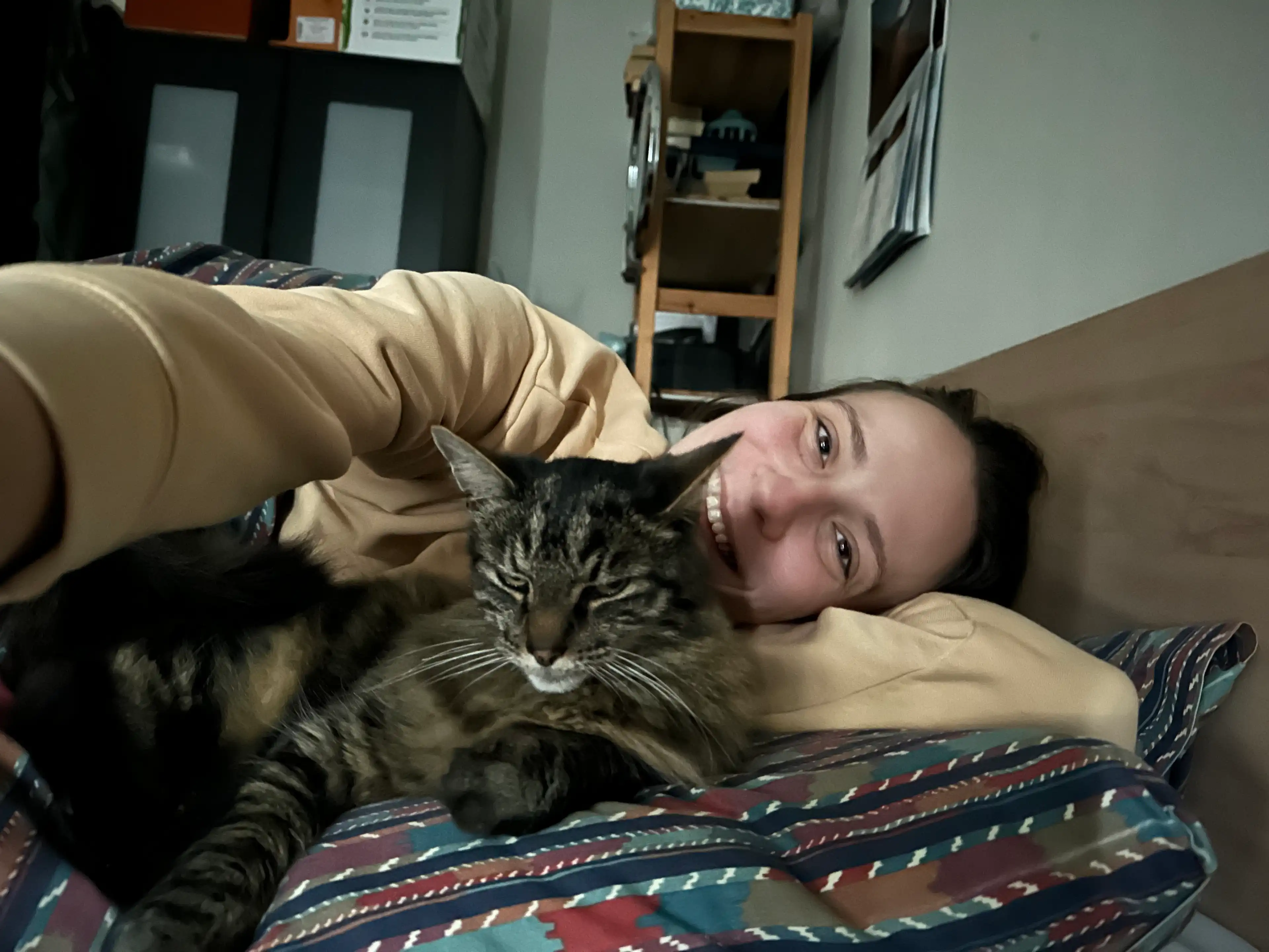 image-6