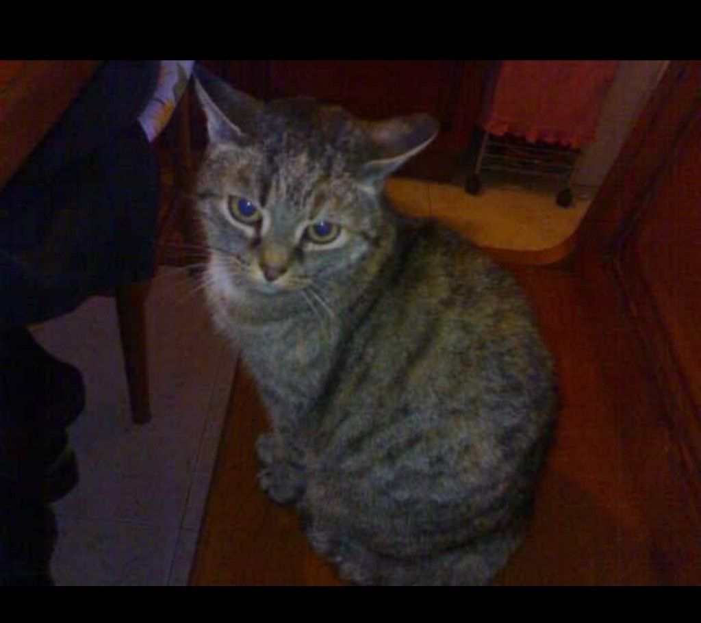 image-8