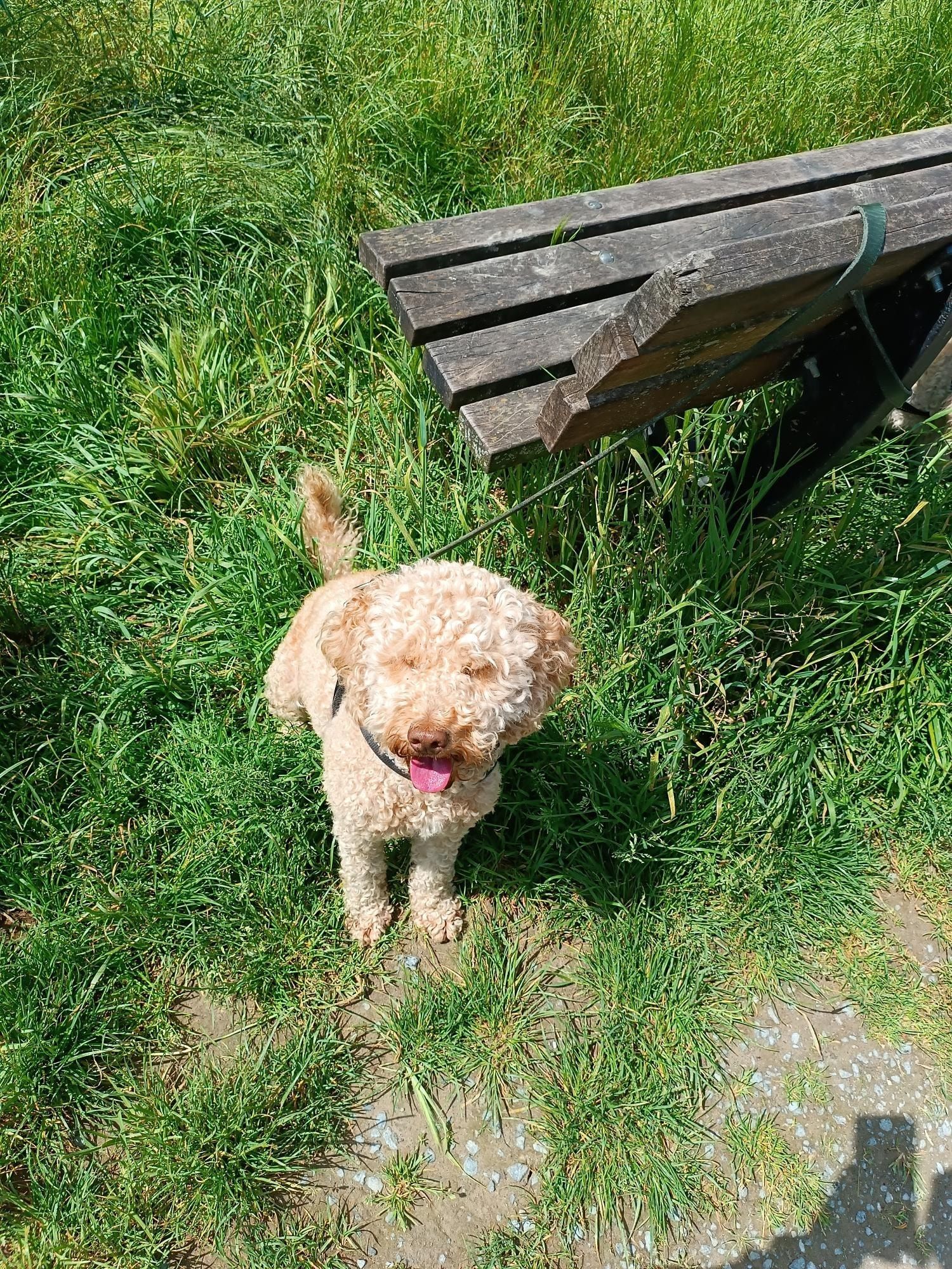 image-9