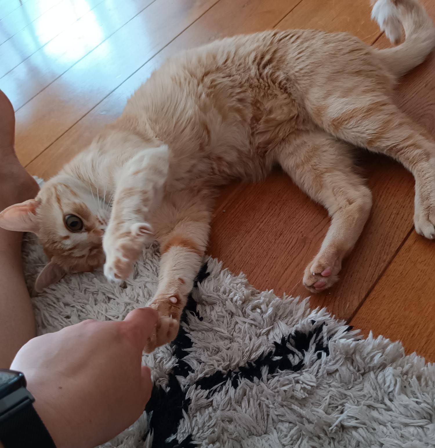 image-6