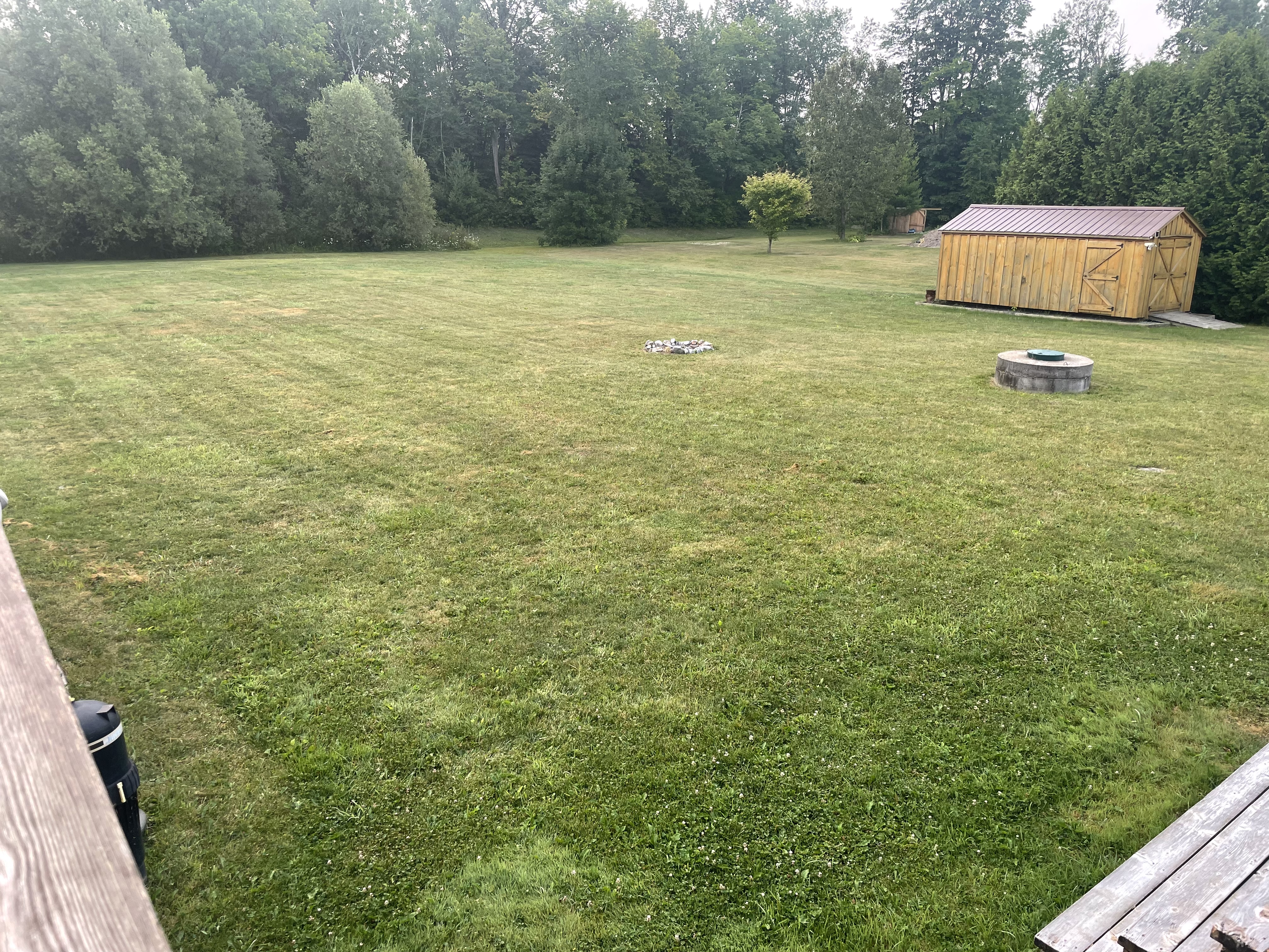 image-51