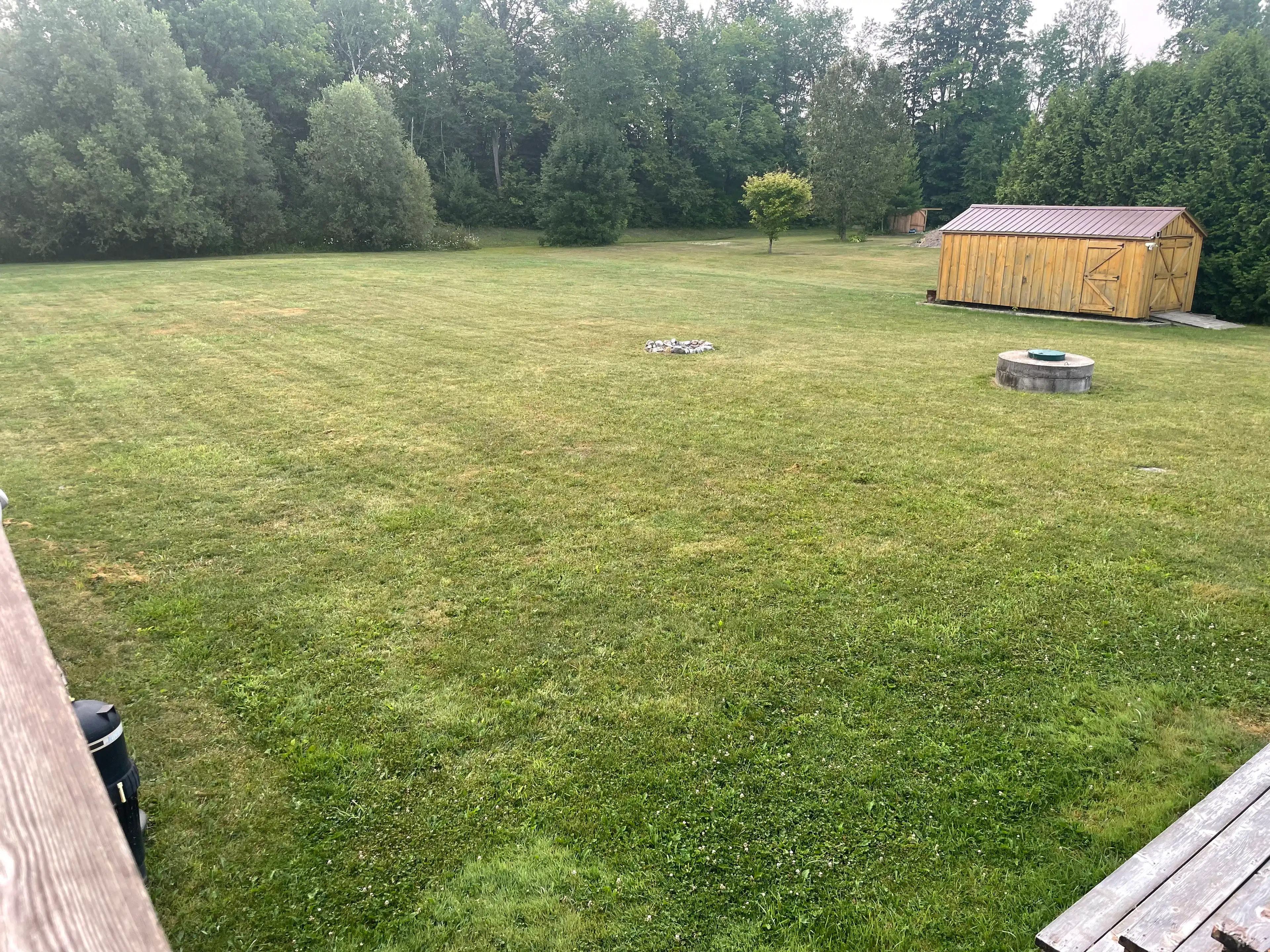 image-51