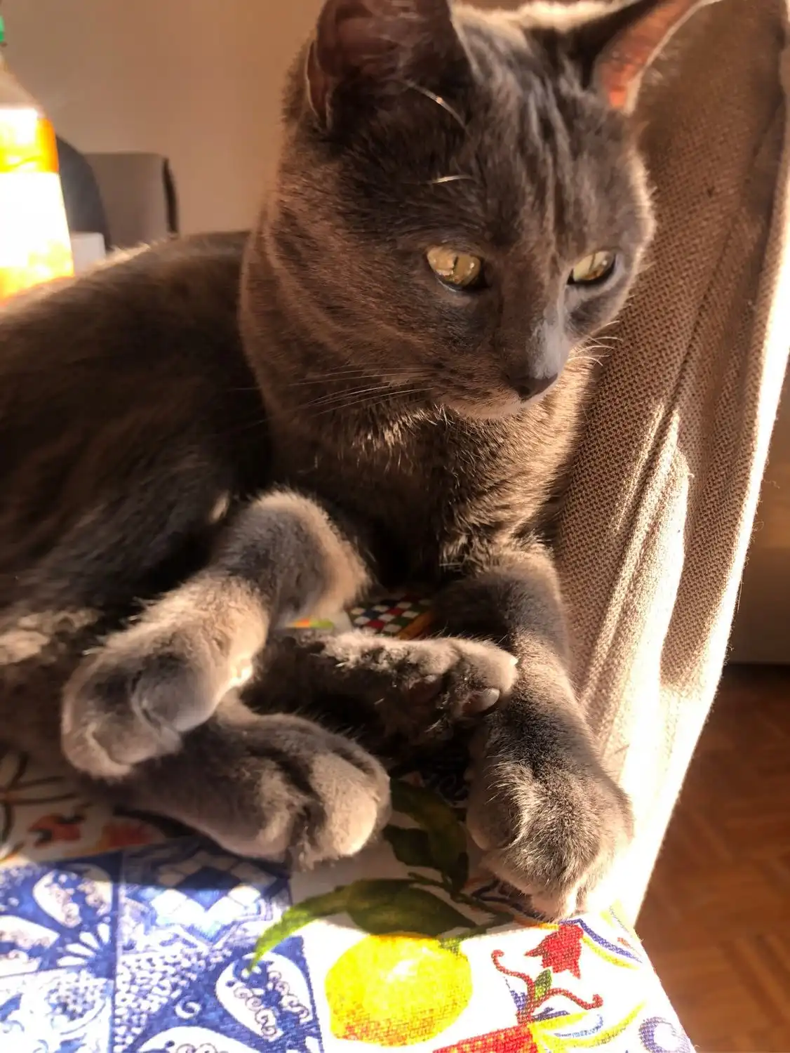 image-6