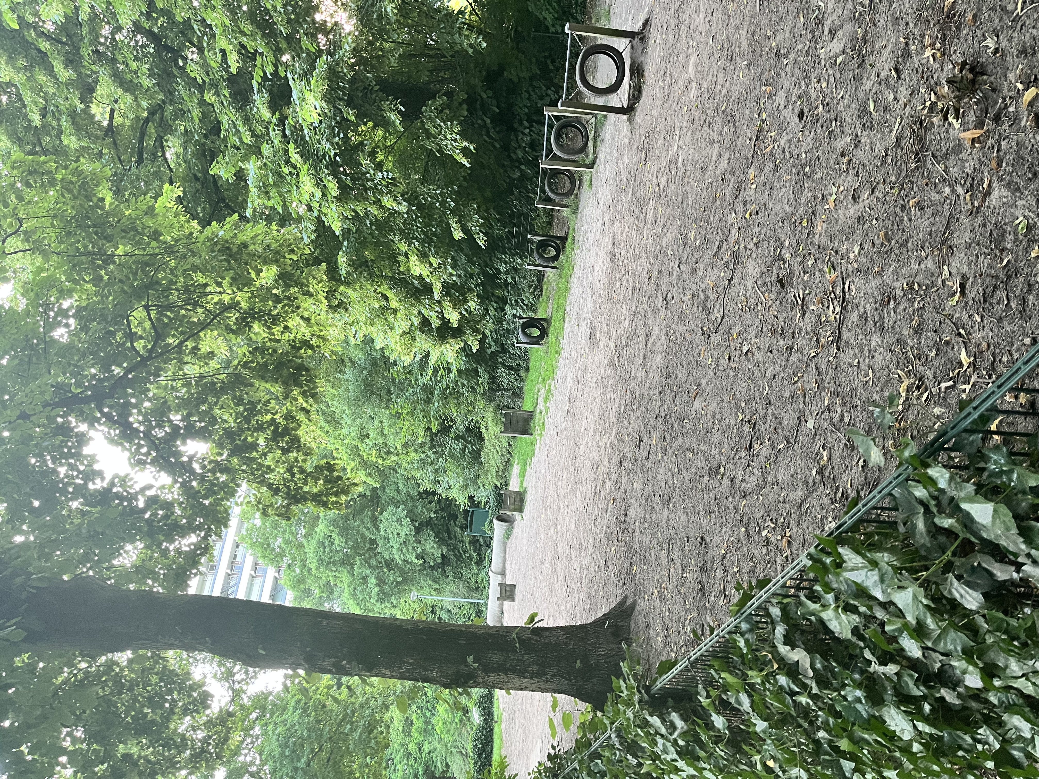 image-17