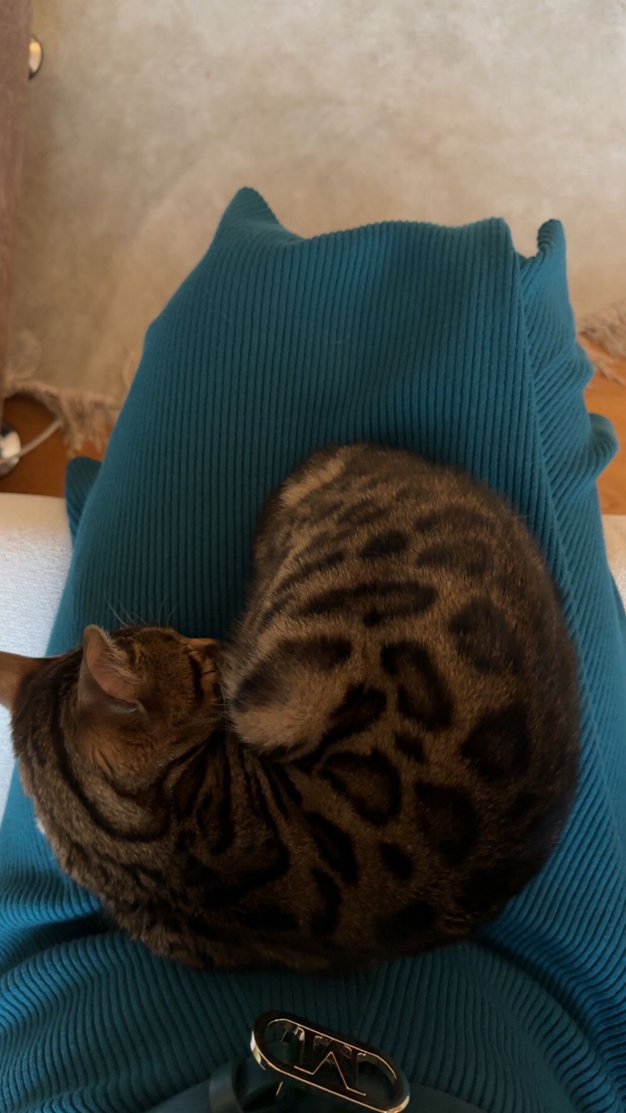image-6