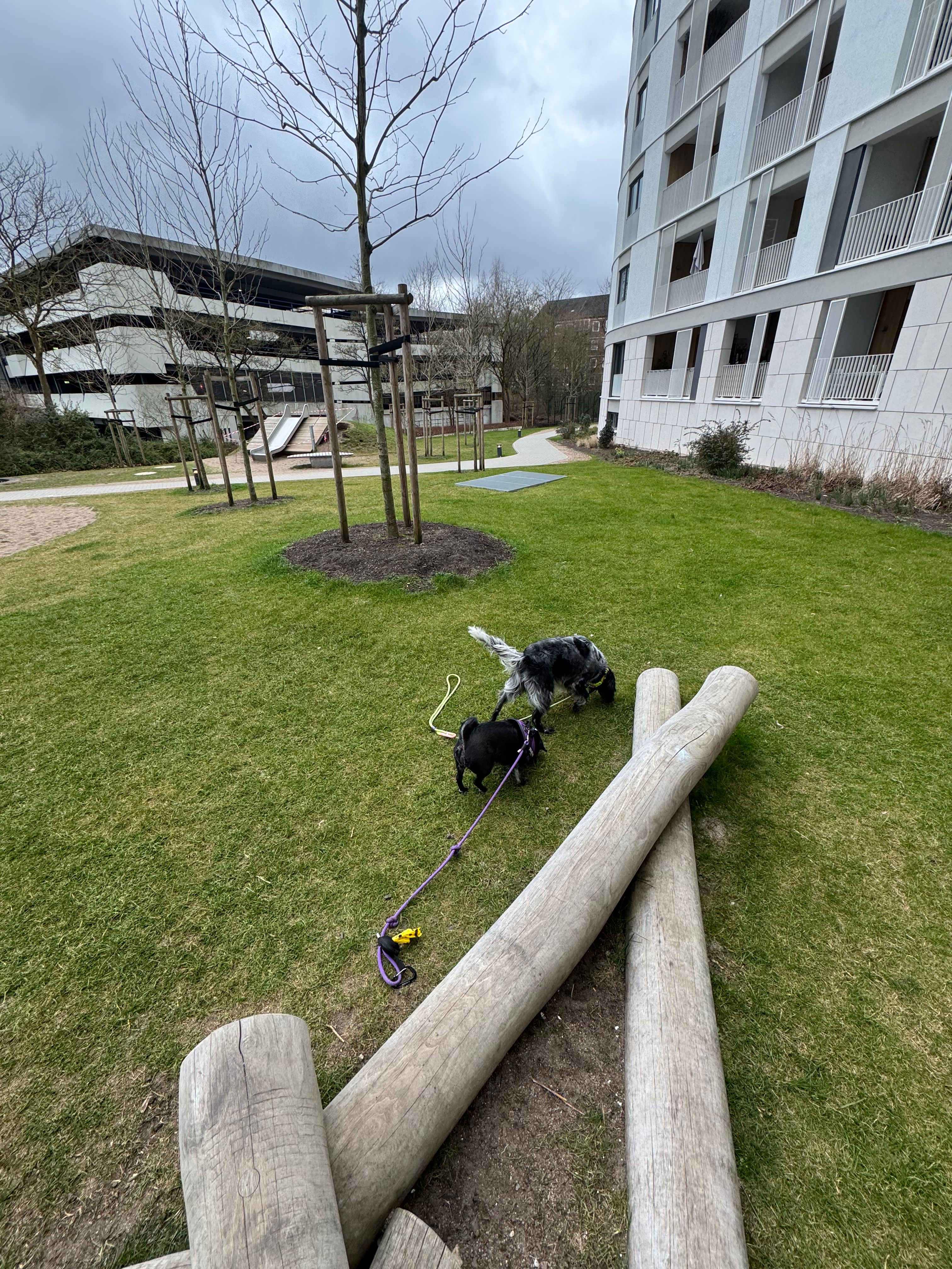 image-20