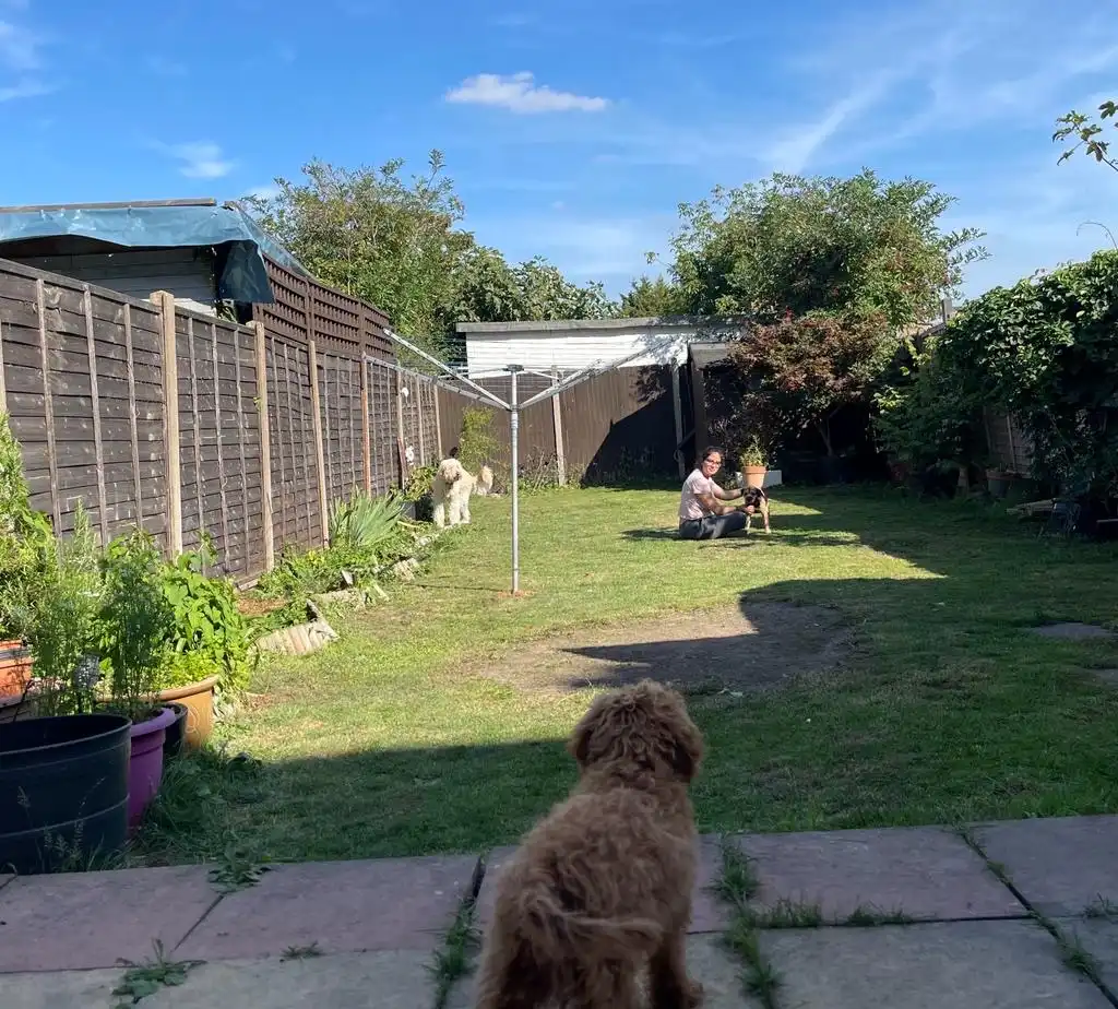 image-28