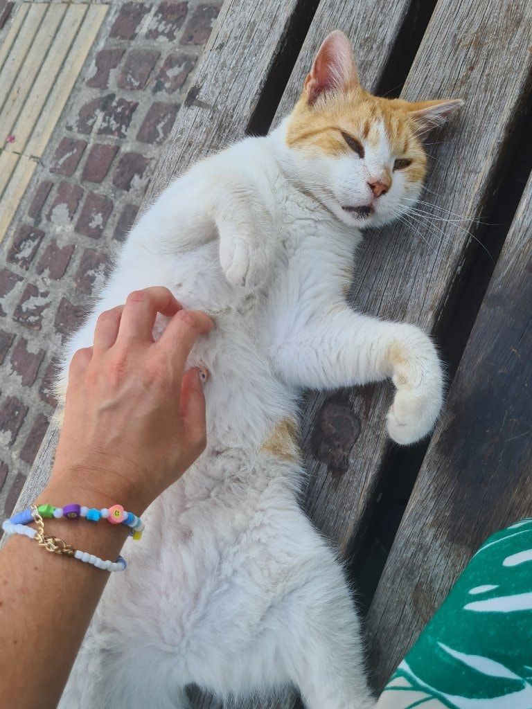 image-8