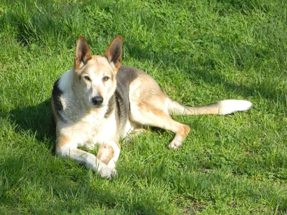 image-4