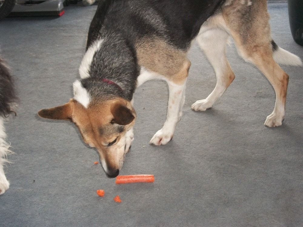 image-2