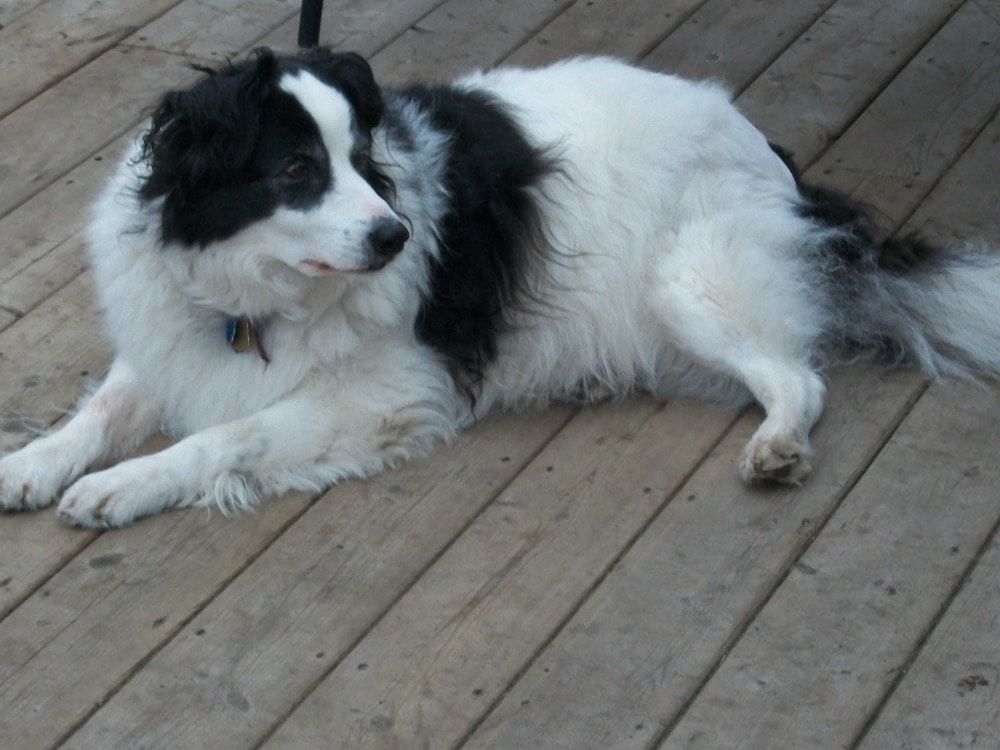 image-3