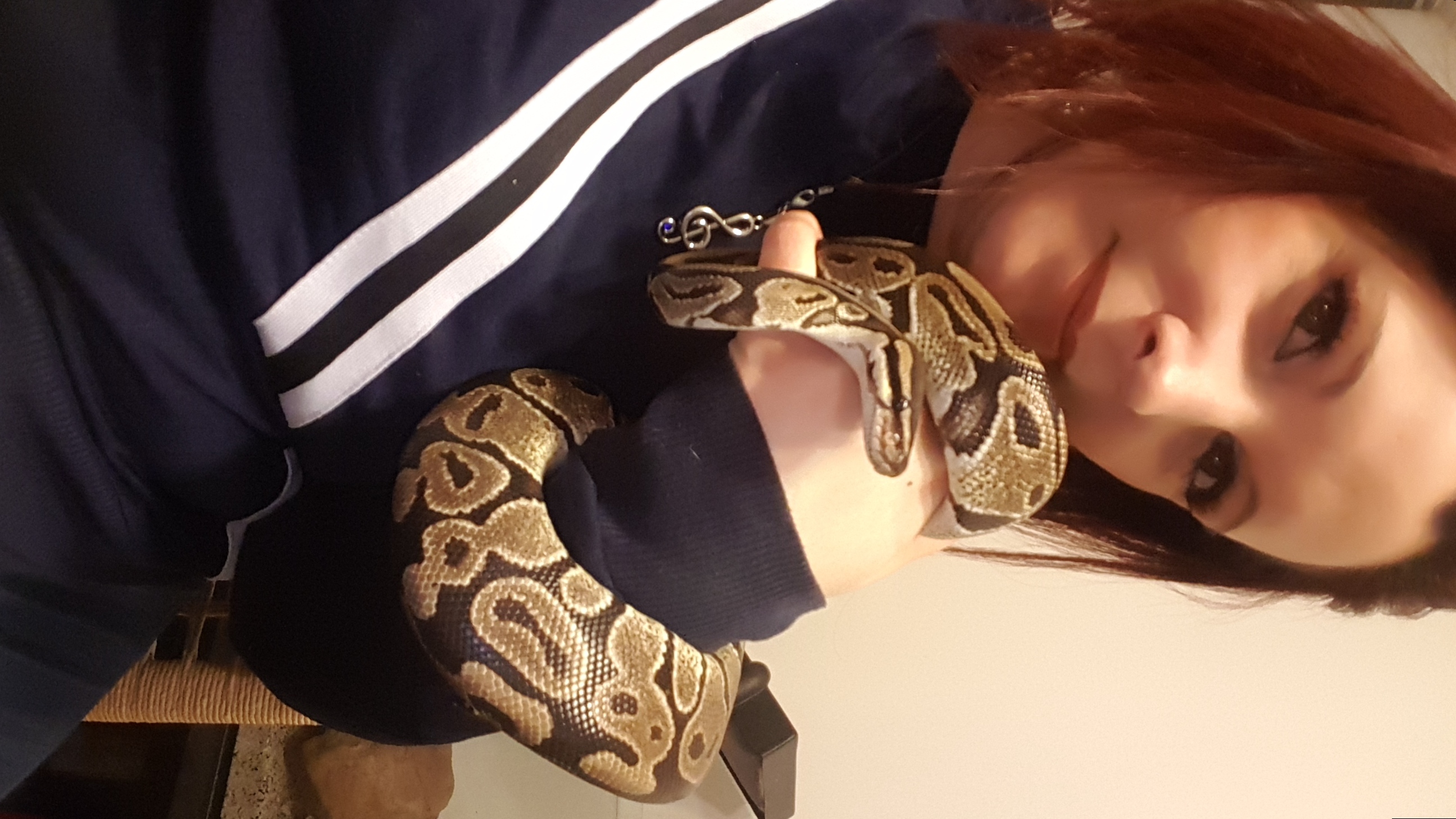 image-6