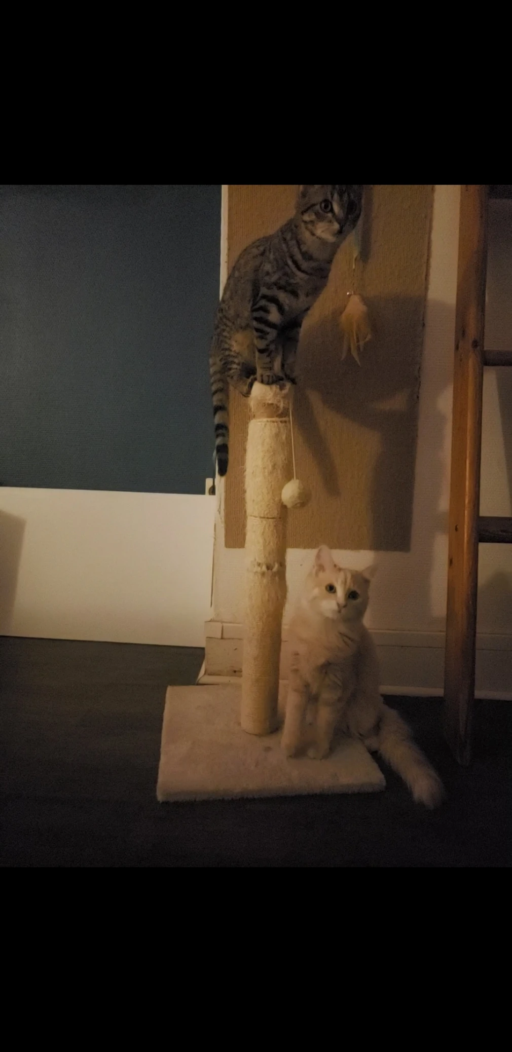 image-35
