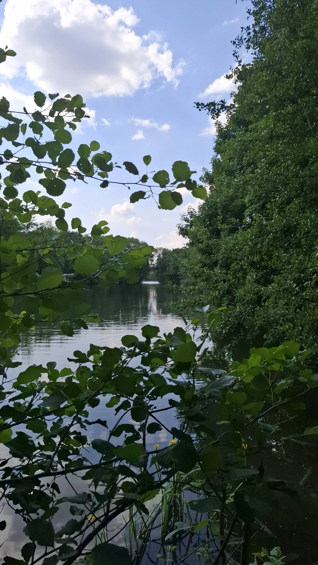 image-37
