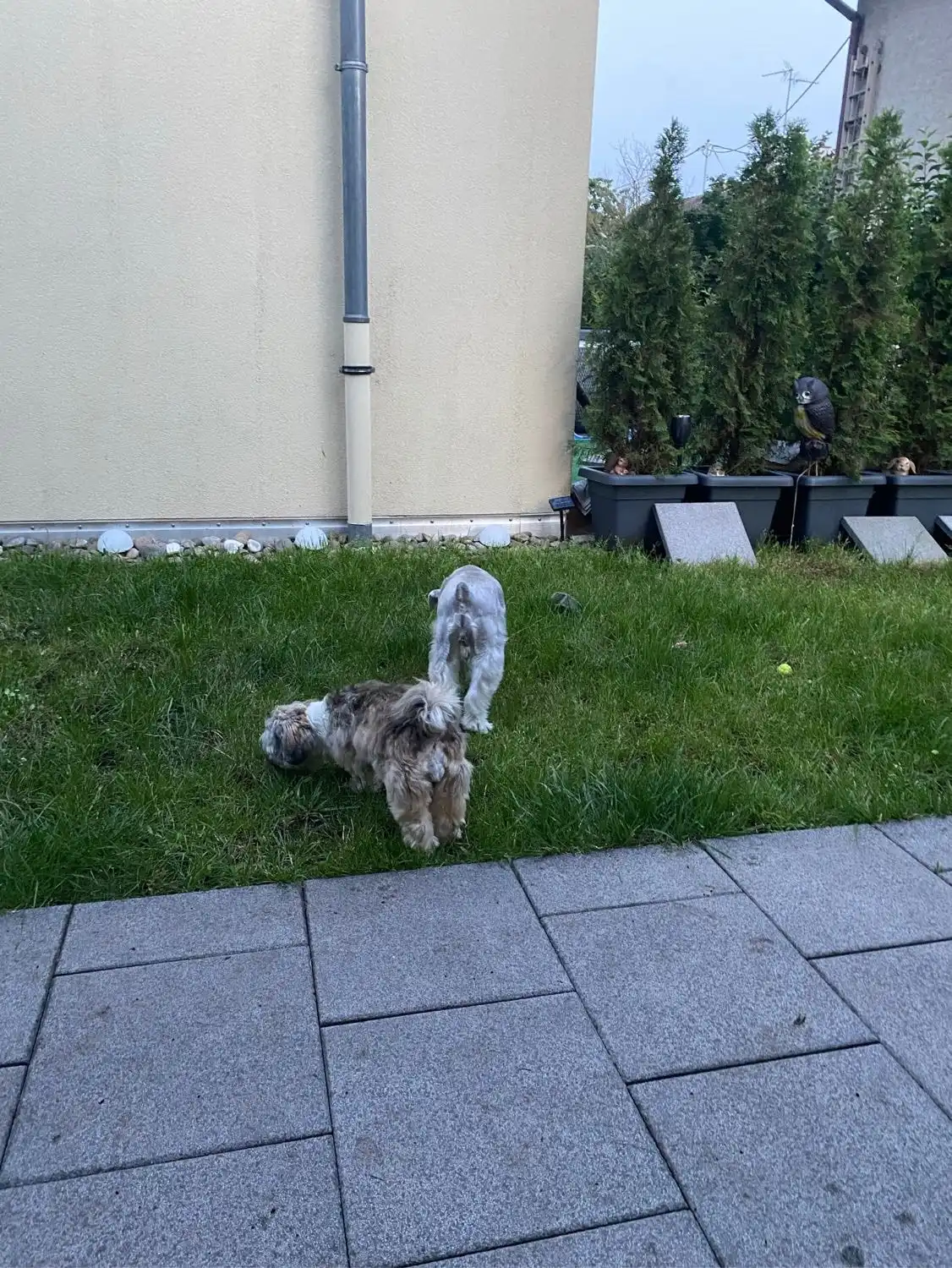 image-18